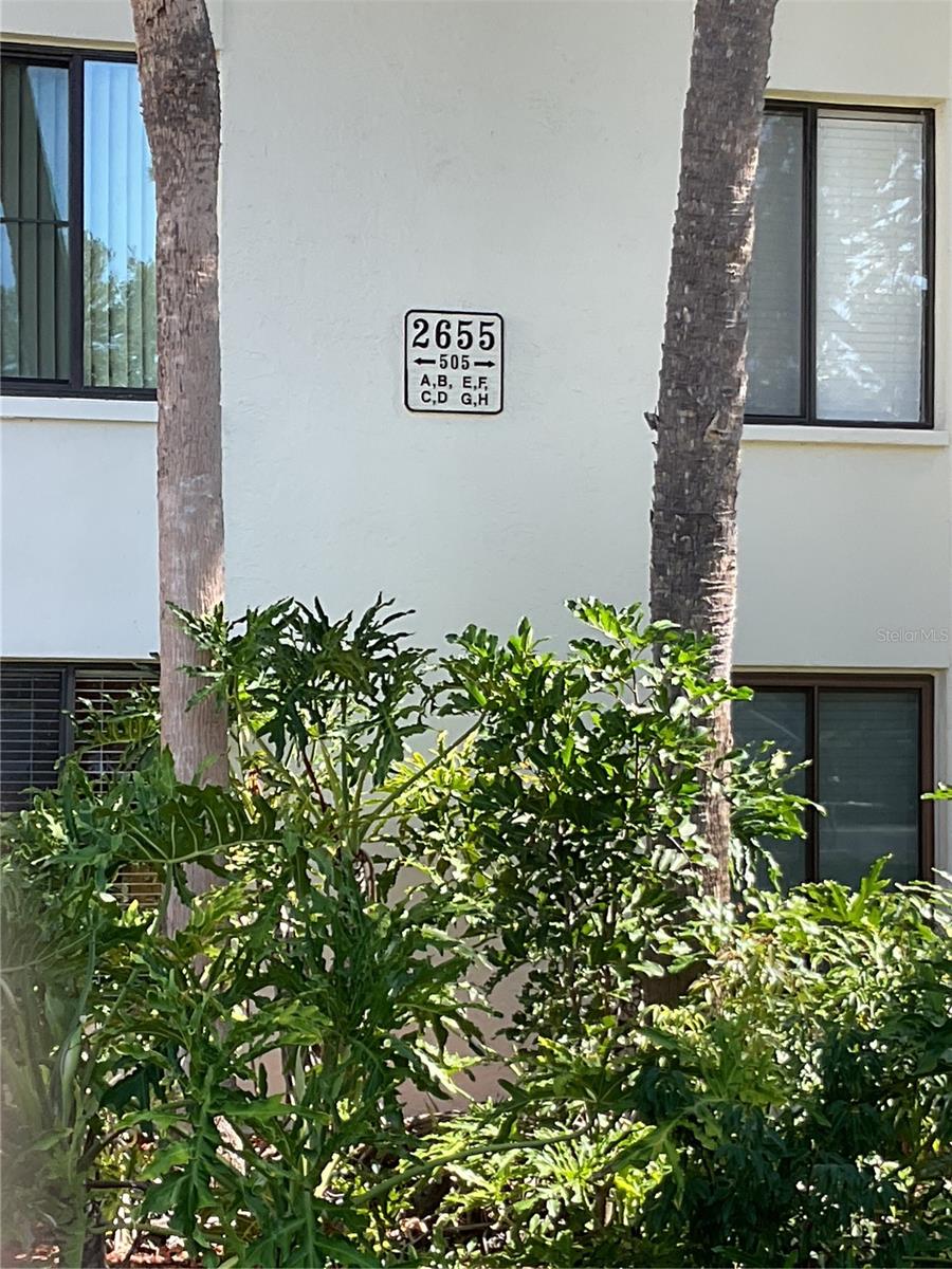 PINE RIDGE AT PALM HARBOR - Residential