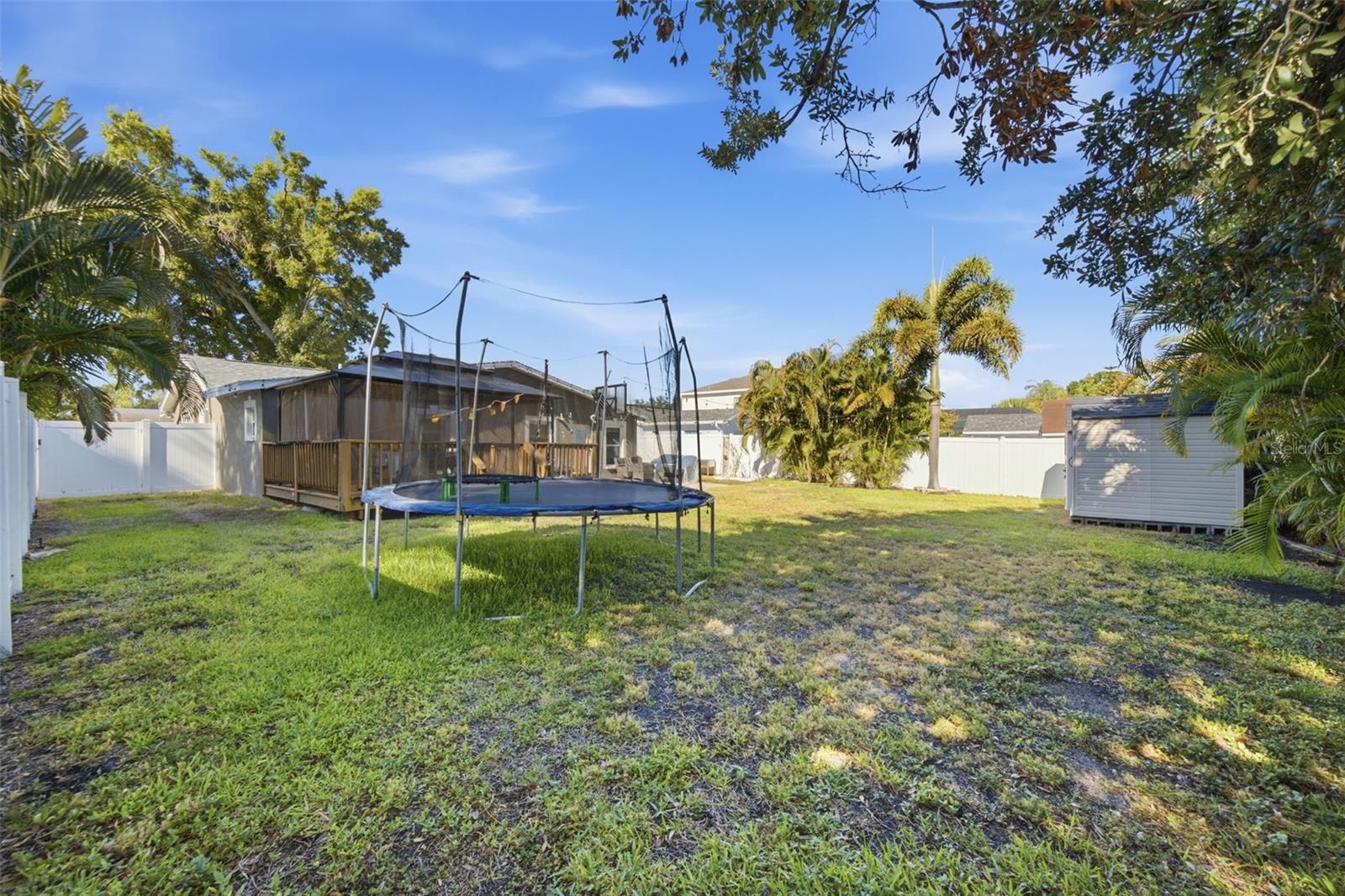 MINNEOLA - Residential Lease