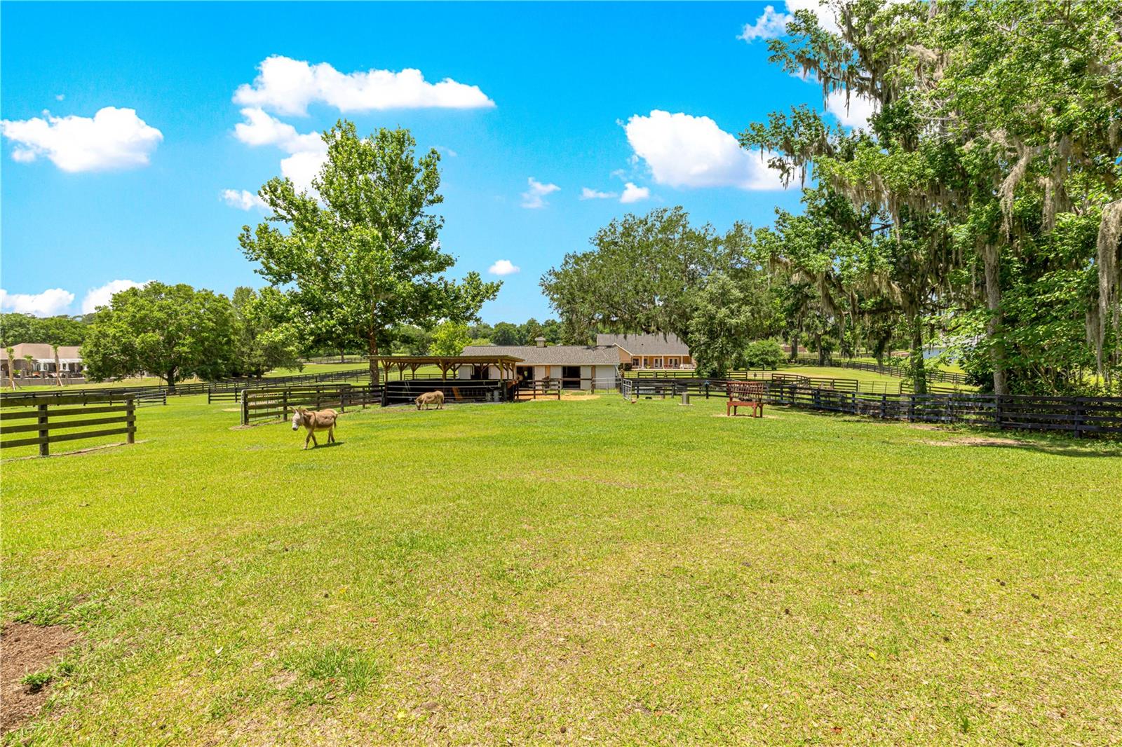 SPRING GROVE - Residential