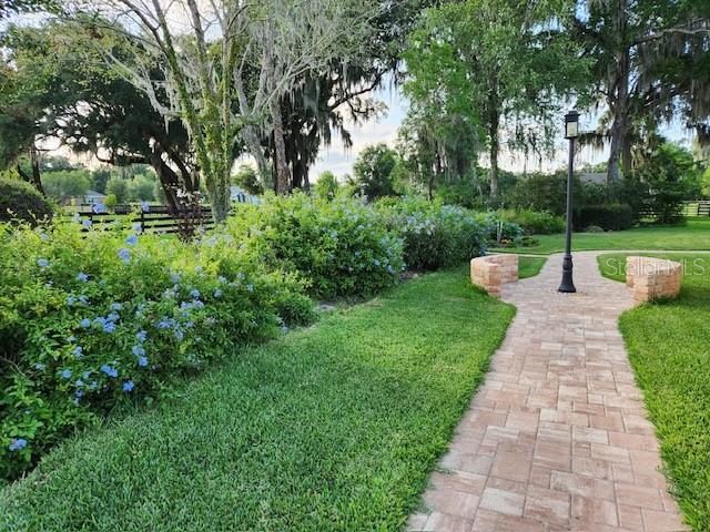 SPRING GROVE - Residential