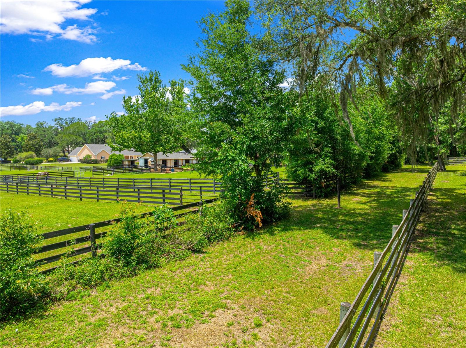 SPRING GROVE - Residential
