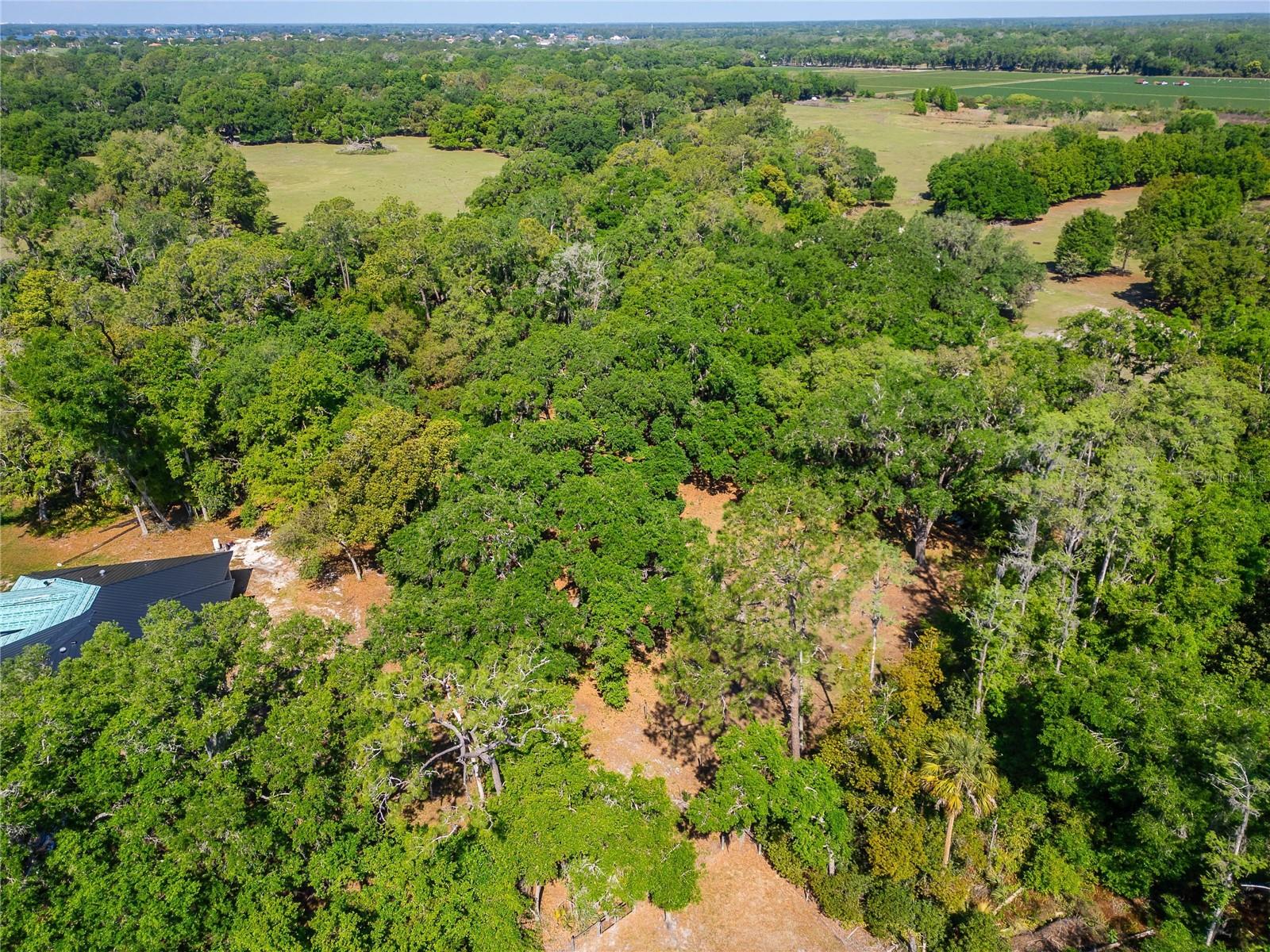 UNPLATTED - Land
