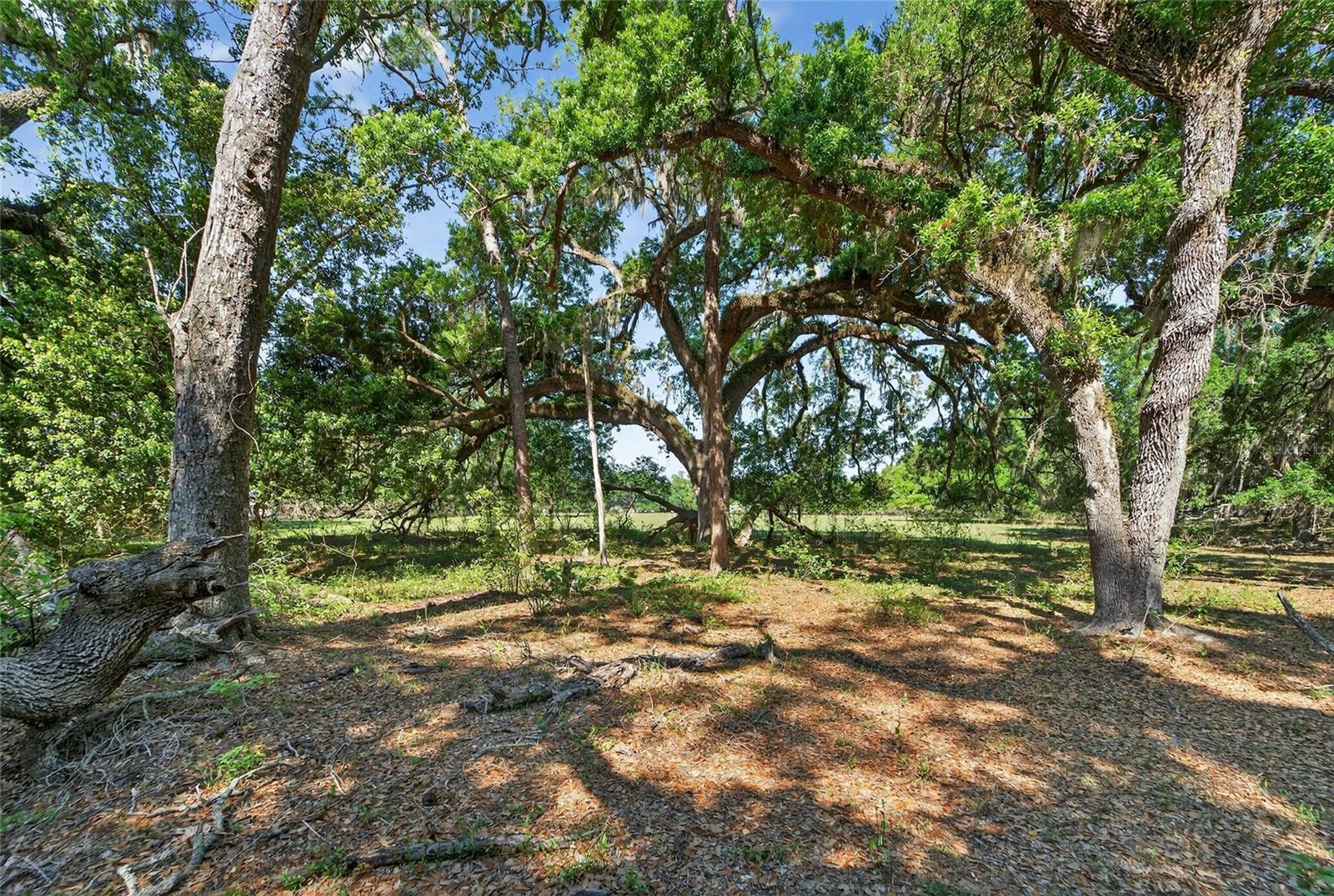 UNPLATTED - Land