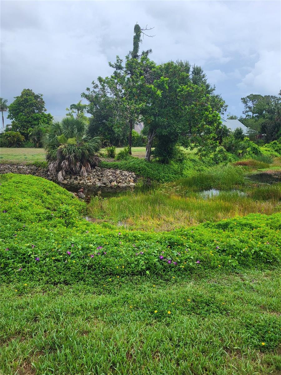 CHESTNUT CREEK VILLAS - Residential
