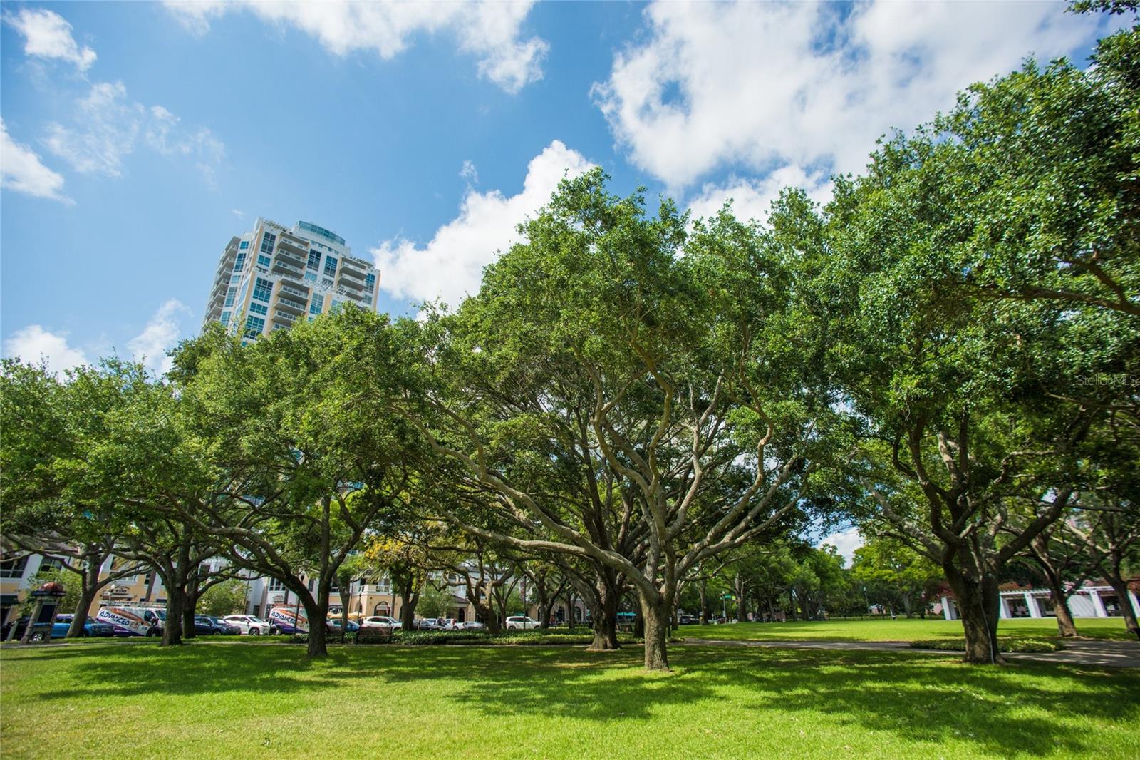 400 BEACH DRIVE CONDO - Residential