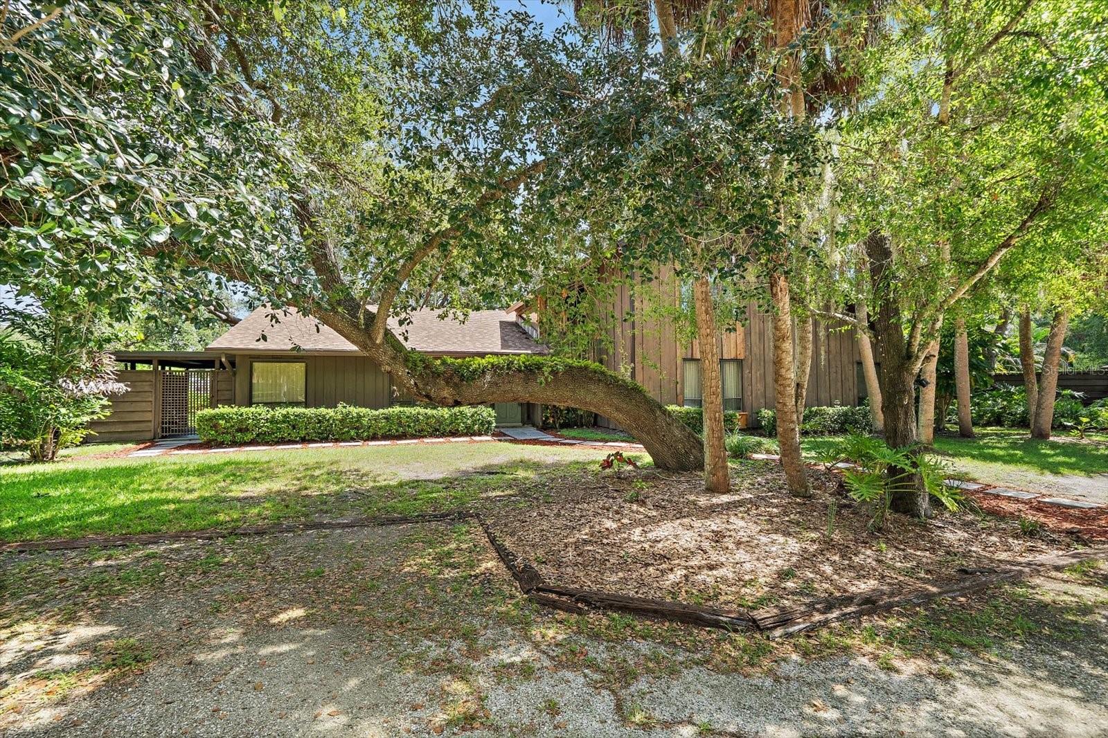 SHADOW OAKS - Residential