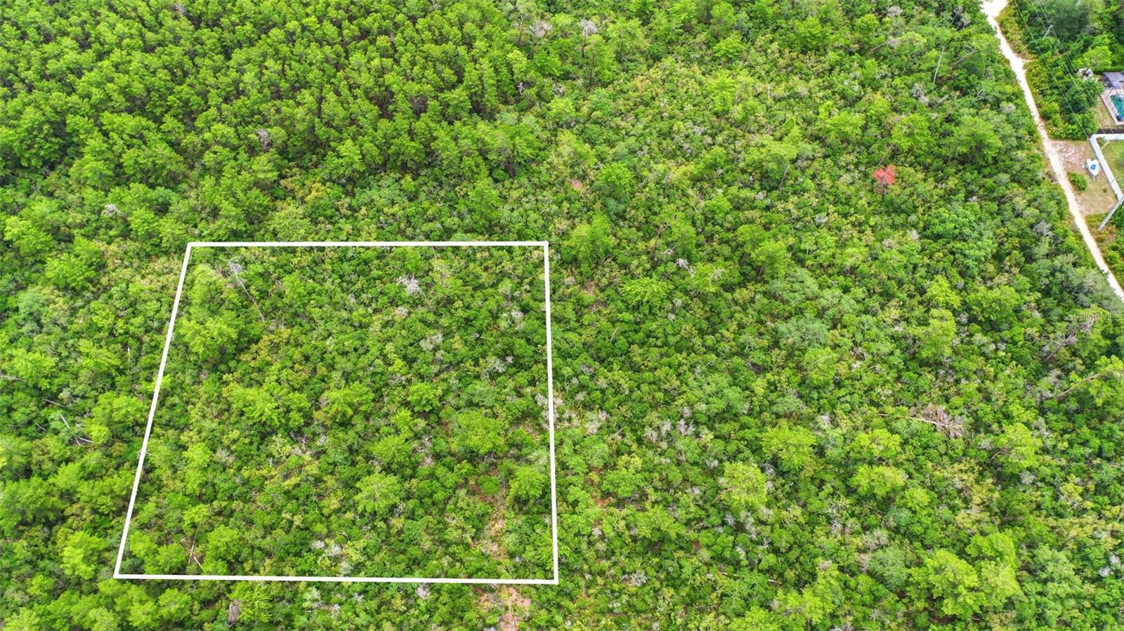 PINE VIEW ESTATES - Land