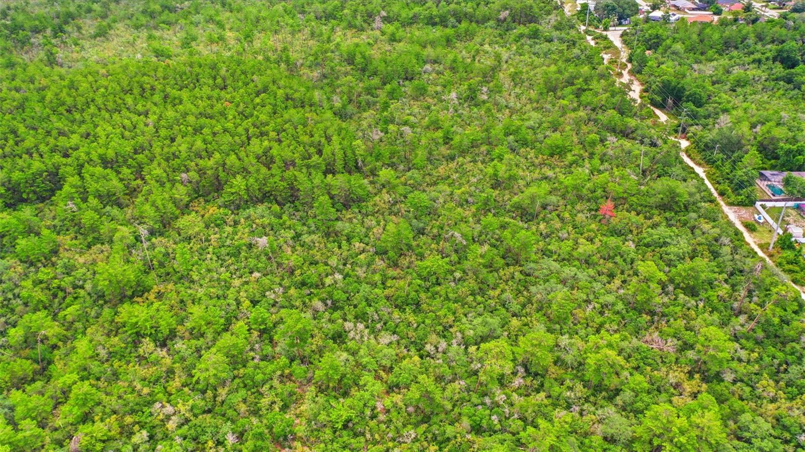 PINE VIEW ESTATES - Land