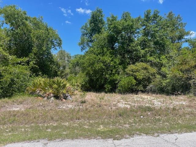 BUILD YOUR DREAM HOME! Lot 70X125X100X126 with side easement. Established area in Poinciana Village 2 ready to build. Public utilities with Toho Water and sewer. Convivence store and gas station around a couple blocks for your quick shopping needs. This property is close to Medical Center, shopping plazas, banks, restaurants, parks, schools and major attractions in Central Florida. Legoland, Disney, Universal Studios, SeaWorld and so much more. Lots of newer constructions around but this is large lot for your beautiful new home. This community of Poinciana encompasses both Polk and Osceola County and is perfectly nestled between Haines City and Kissimmee. Call For your private showing.