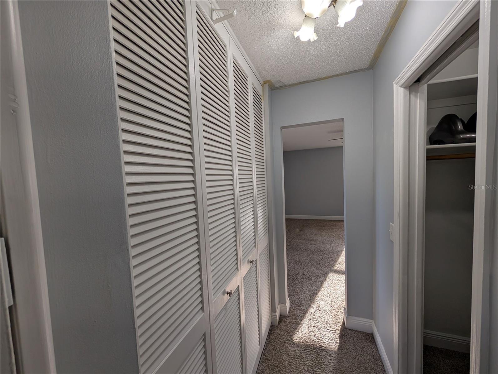CARROLLWOOD ESTATES - Residential Lease