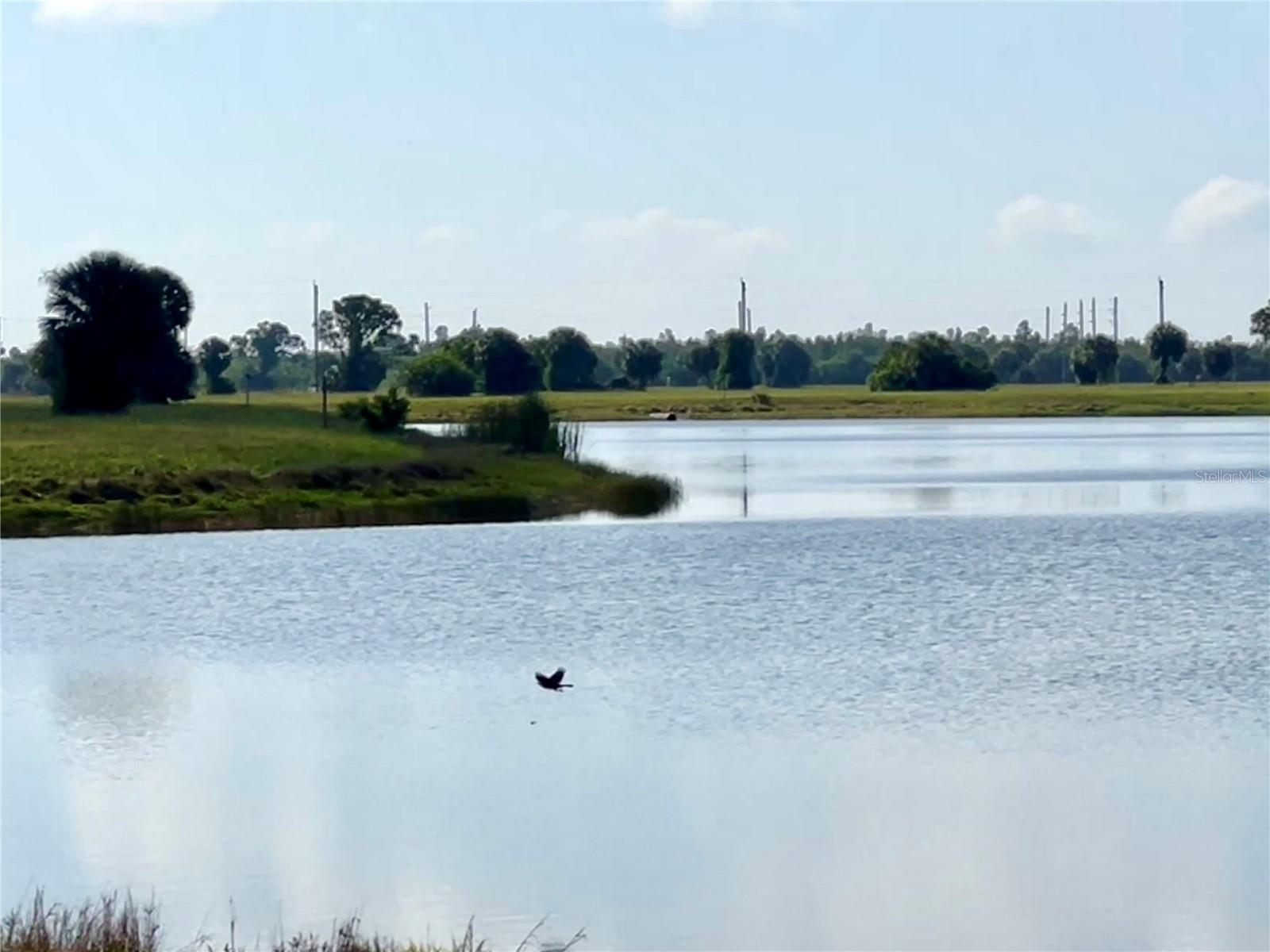 ROTONDA MEADOWS - Land