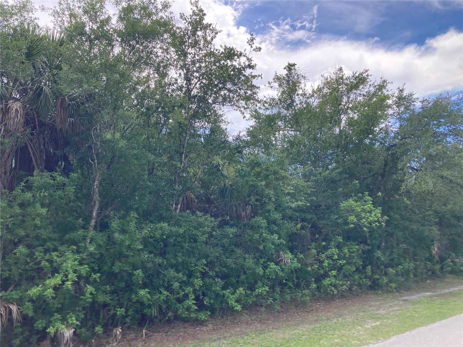 PORT CHARLOTTE SEC 050 - Land