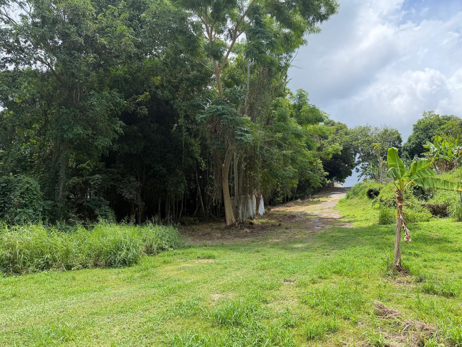 Short Sale. Build your dream home on this spacious 1,250.716-square-meter (0.309-acre) residential lot located at Carr. 344 Km. 3.4, Bo. Jagüitas, Hormigueros, Puerto Rico. Enjoy the peace and privacy of a rural setting while being just 8 minutes from Mayagüez Mall, shopping centers, restaurants, schools, hospitals, and other essential amenities. Offered at the appraised value, this property presents an excellent opportunity for homeowners or investors. Located in FEMA Flood Zone X (minimal flood risk). Tax Parcel No. 284-012-200-70. Buyers are encouraged to verify zoning, utility availability, and all property information independently.