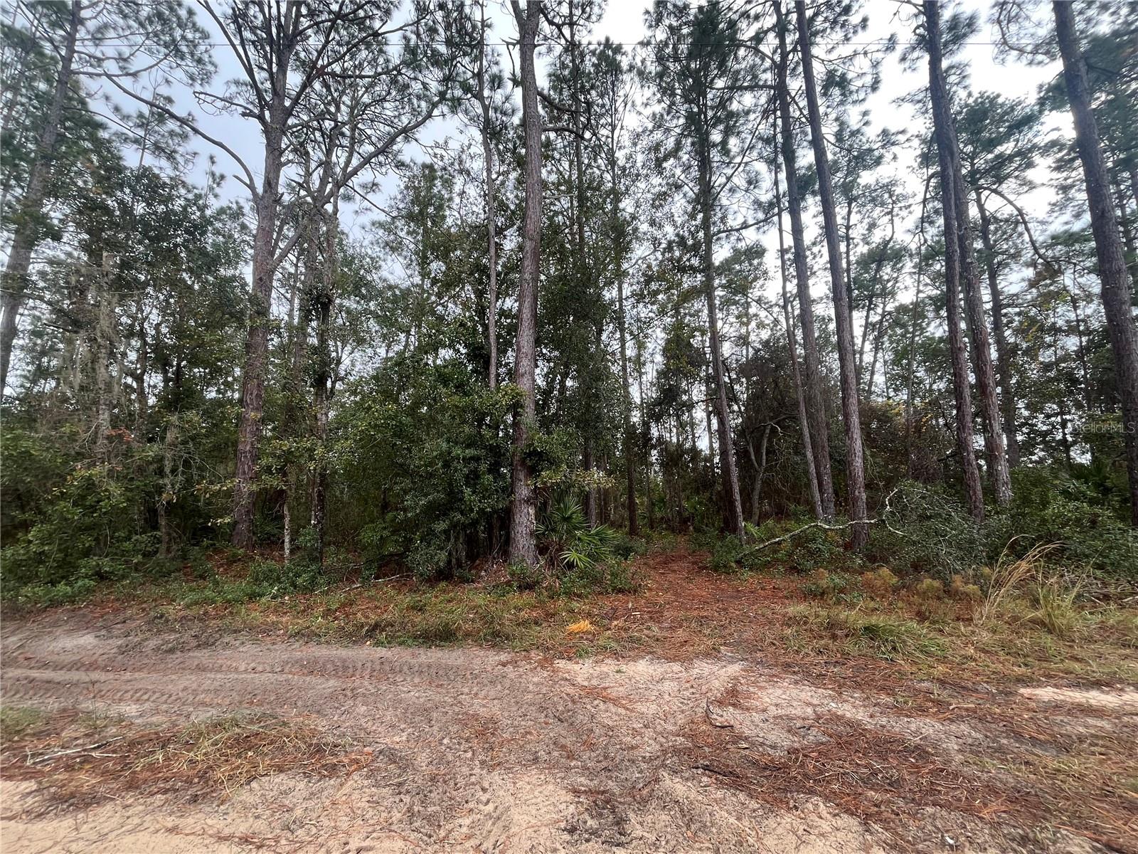 INTERLACHEN LAKES ESTATES - Land