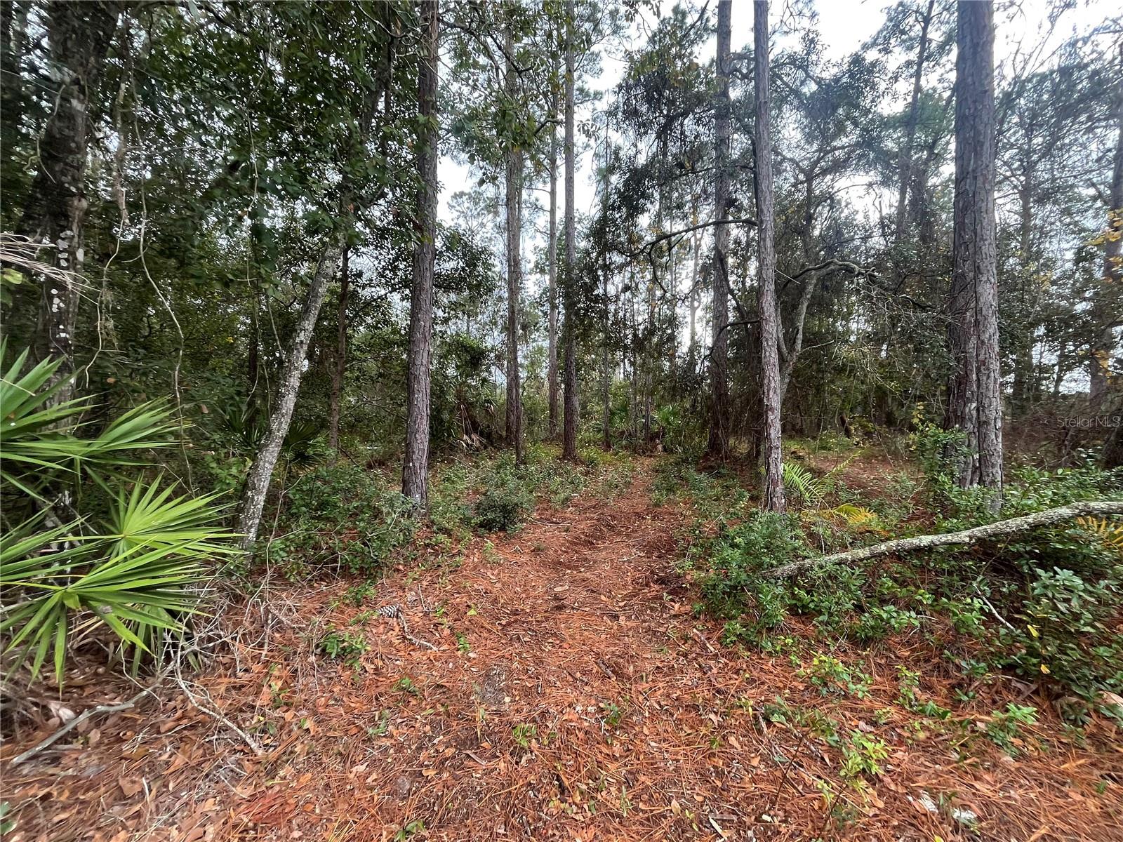 INTERLACHEN LAKES ESTATES - Land