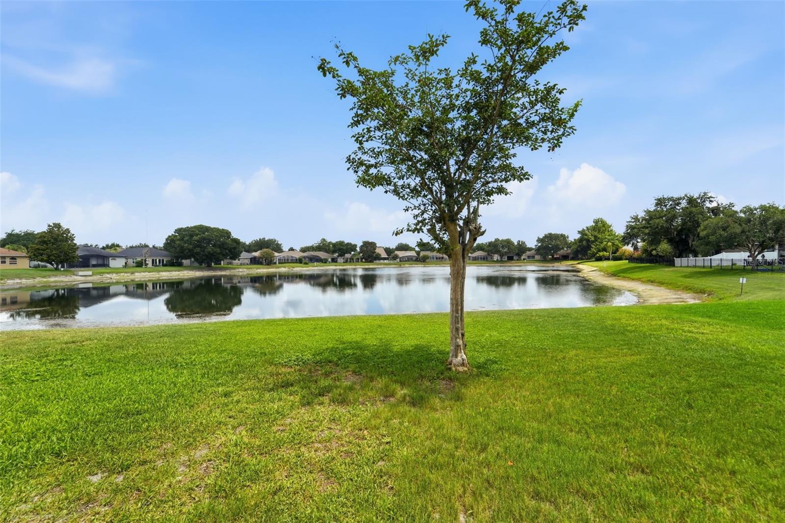 ORANGE DALE OC - Residential