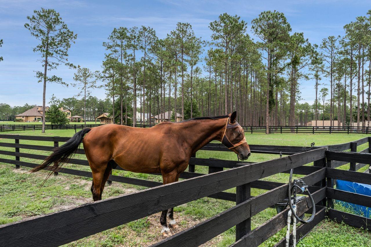 LAKEWOOD RANCHES - Residential