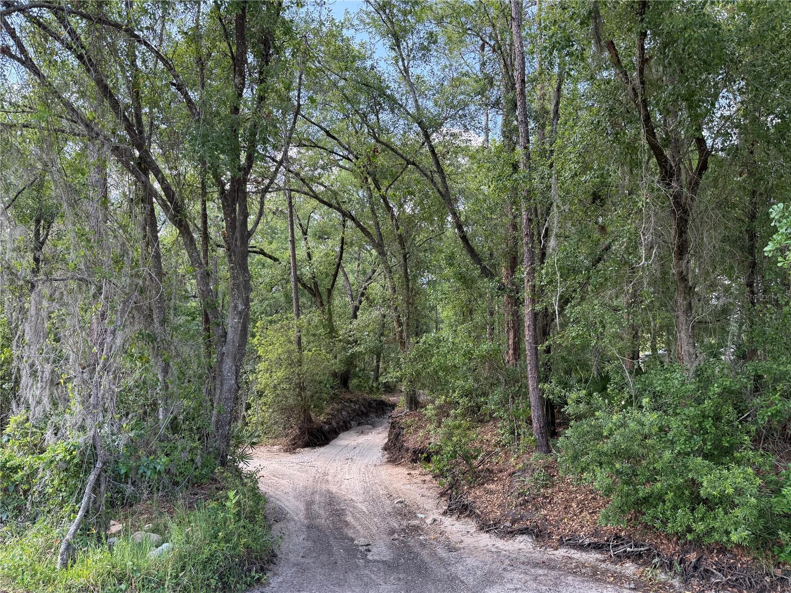WOODS - Land