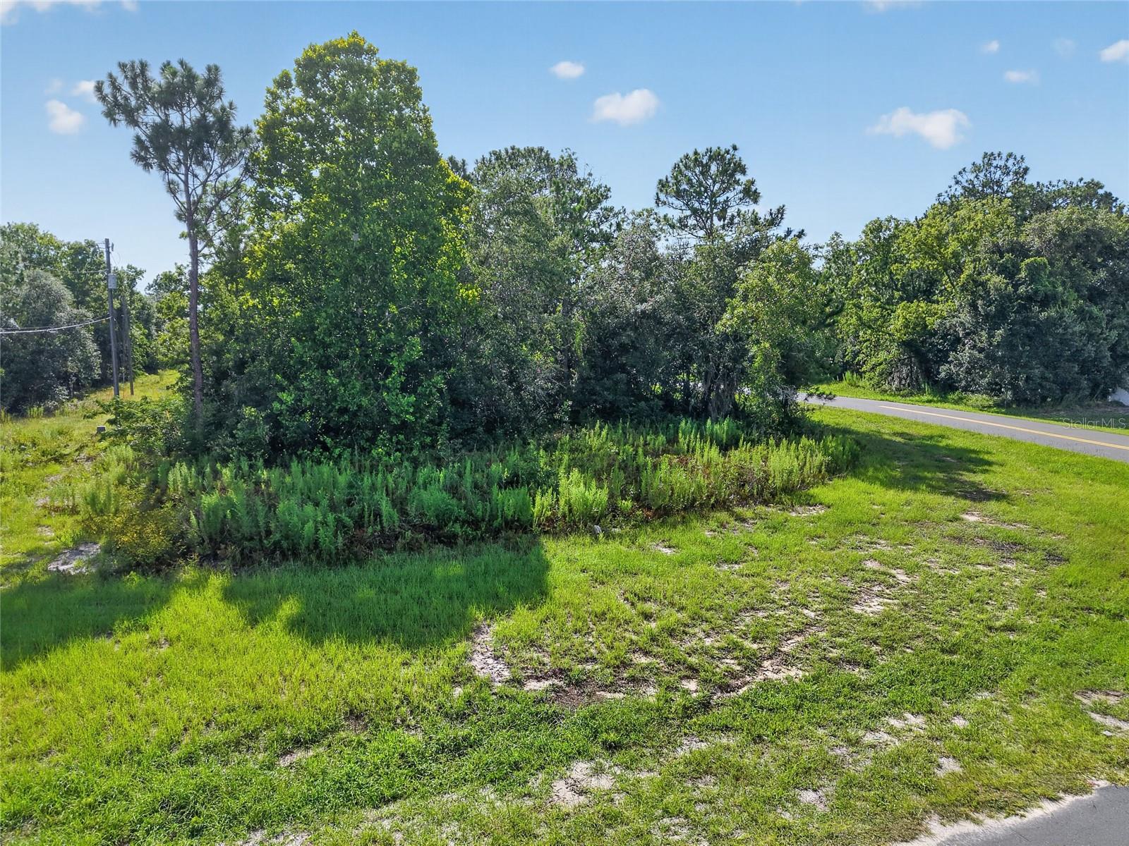 MARION OAKS - Land