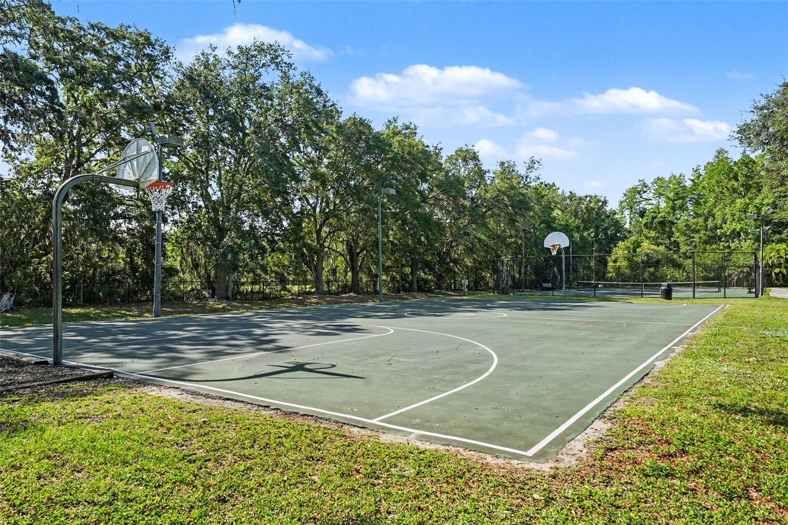 GREY HAWK AT LAKE POLO - Residential