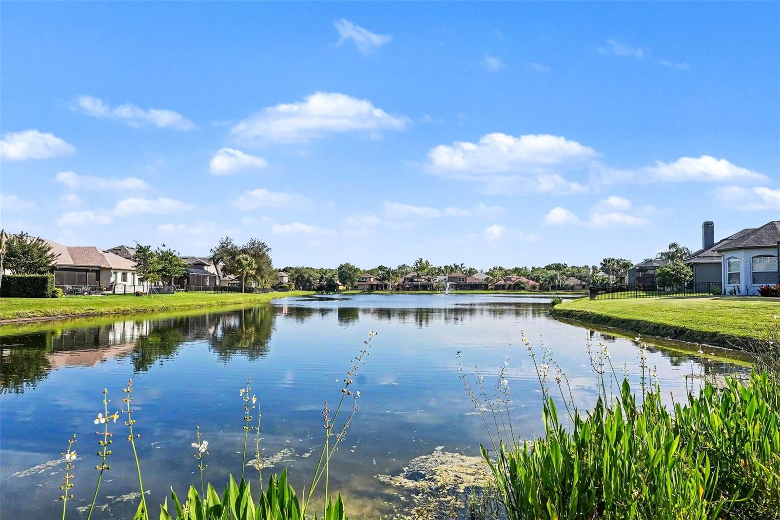 GREY HAWK AT LAKE POLO - Residential