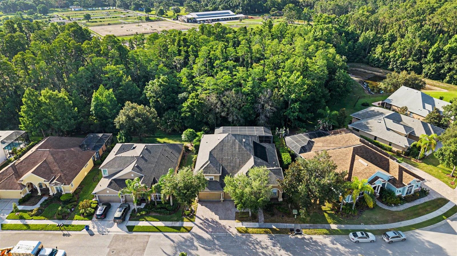 GREY HAWK AT LAKE POLO - Residential