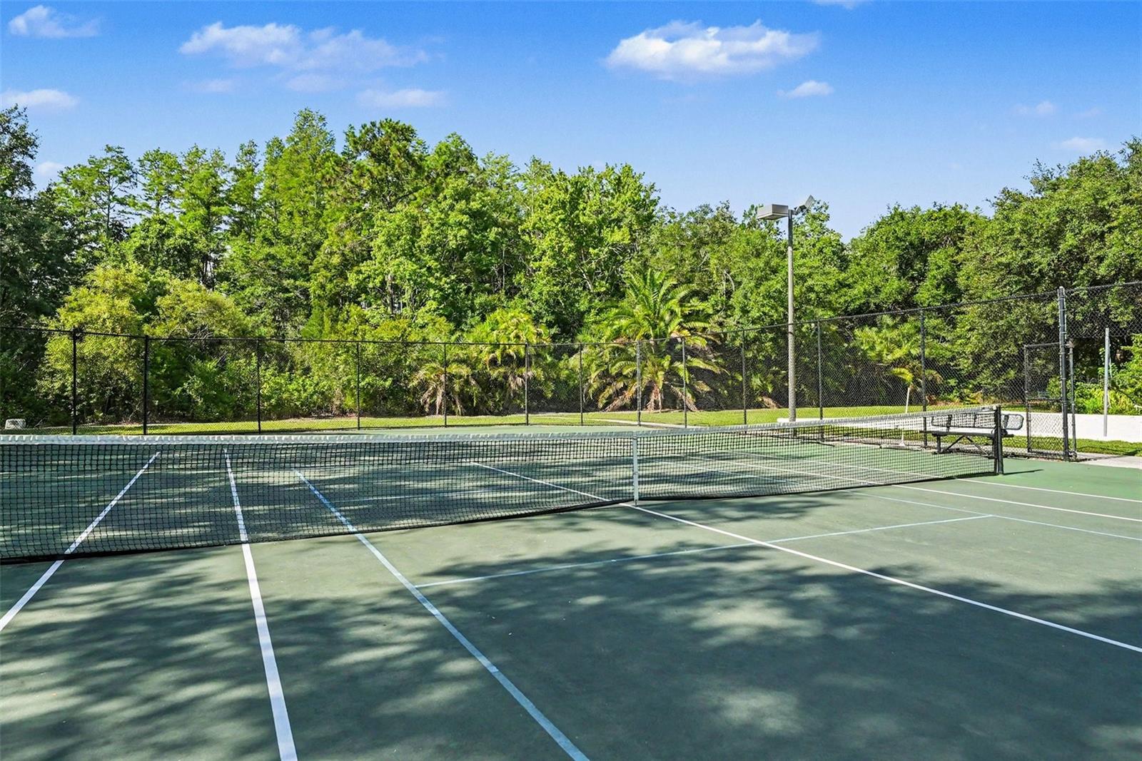 GREY HAWK AT LAKE POLO - Residential