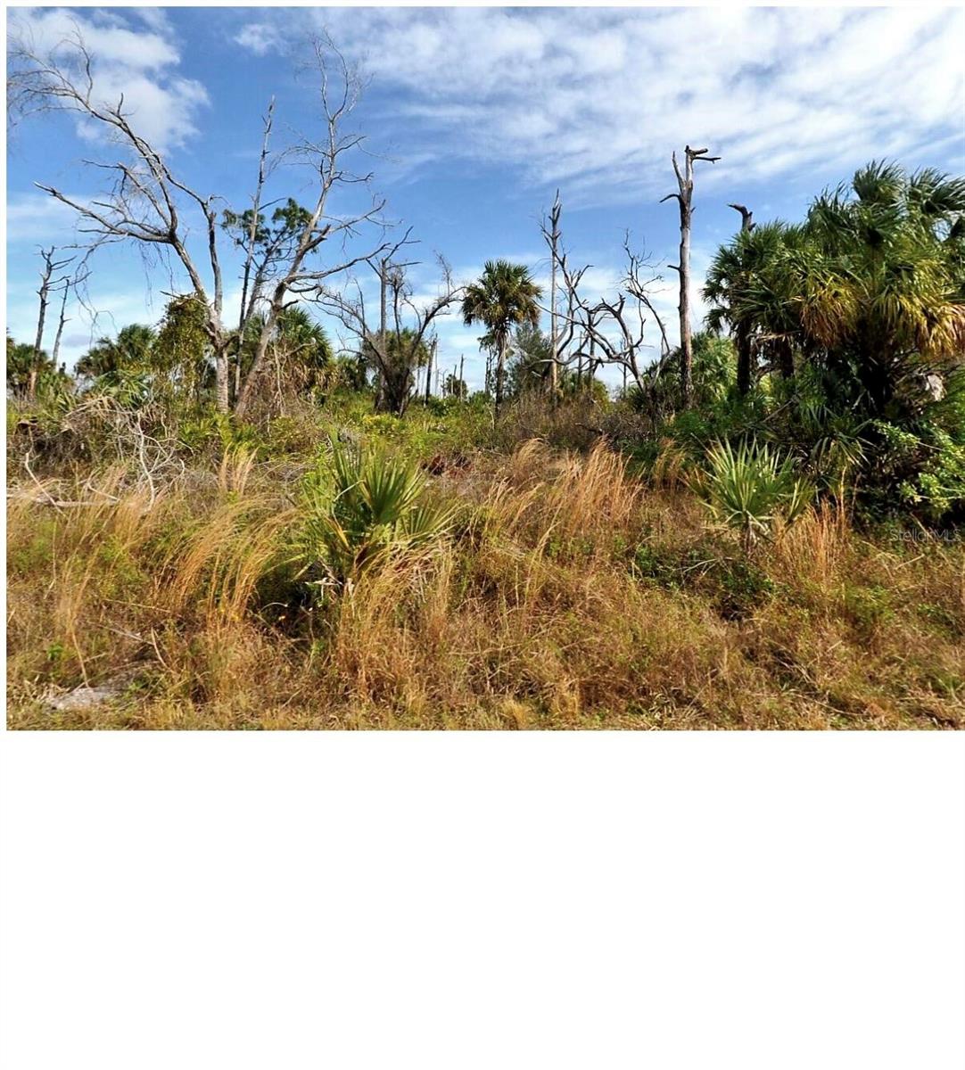 Welcome to this charming lot  located in the serene community of North Port, FL 34288. Set within a tranquil environment, this property accords a unique opportunity to enjoy the comforts of a well-designed vacant lot with paver road . The exterior presents a welcoming facade with lush landscaping and well-maintained grounds. Inside, the house features thoughtfully arranged living spaces that cater to a variety of lifestyle.  The property is conveniently situated within reach of local amenities, offering a balance of privacy and accessibility. Don't miss the chance to explore this exceptional opportunity to own your vacant land in the heart of North Port closed to I75 and the expanding area of Price Street.  All taxes are paid up to date.  Close to the new Costco and 15 -20 min to mineral warm spring