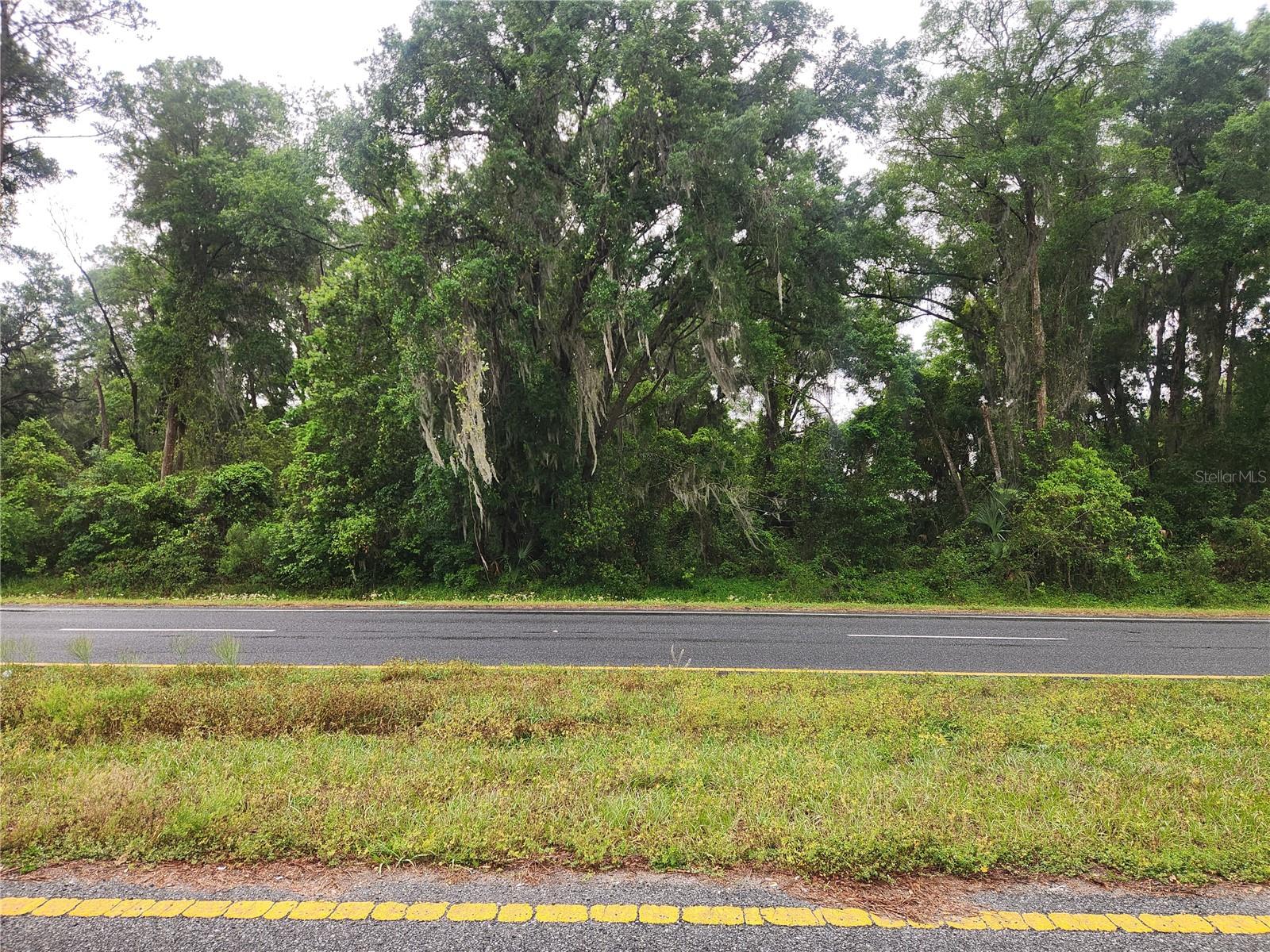 Discover the perfect opportunity to build your dream home or invest in land in the growing community of Summerfield. This vacant parcel offers a peaceful, natural setting while still being conveniently close to shopping, dining, and everyday essentials. Whether you’re looking to build now or hold for future investment, this lot offers endless potential. Enjoy nearby outdoor recreation, including lakes, parks, and trails, all while being just a short drive to The Villages and Ocala. No HOA means added flexibility to create the property you’ve always envisioned.