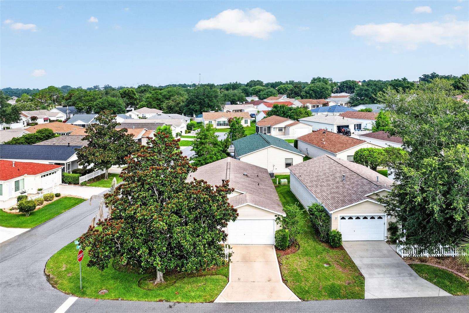 VILLAGES OF SUMTER ARLINGTON VILLAS - Residential