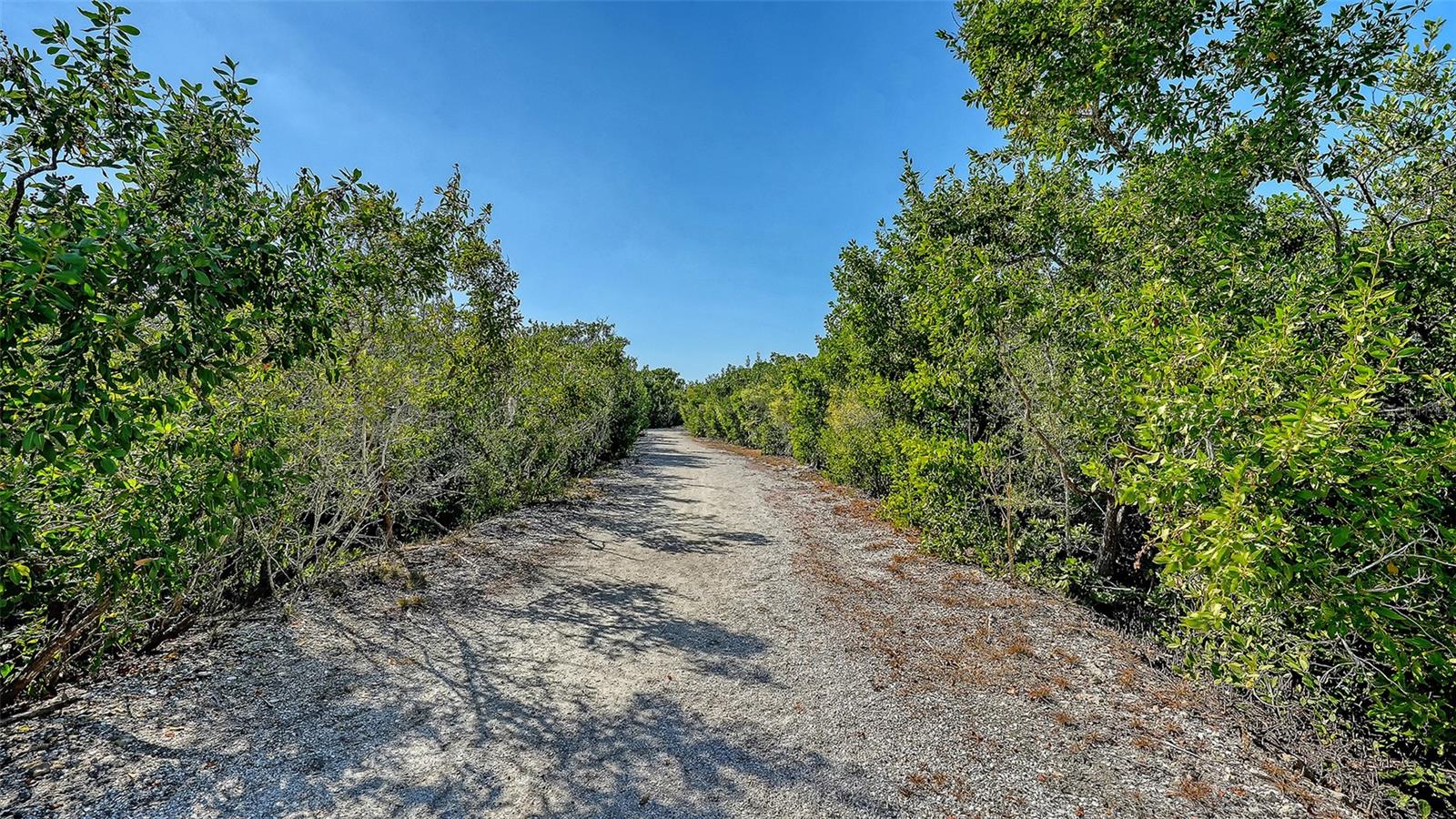 EAGLES POINT AT THE LANDINGS - Residential