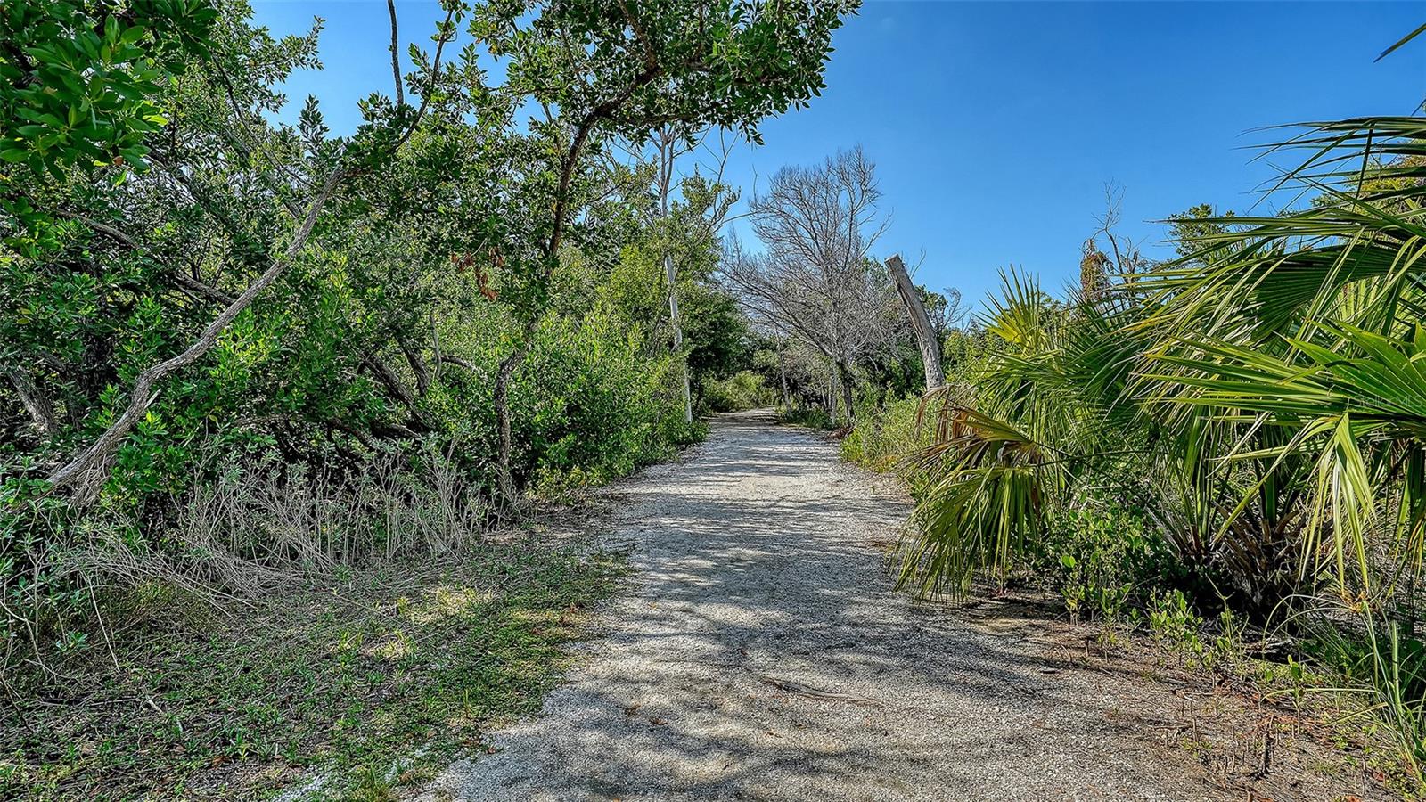 EAGLES POINT AT THE LANDINGS - Residential