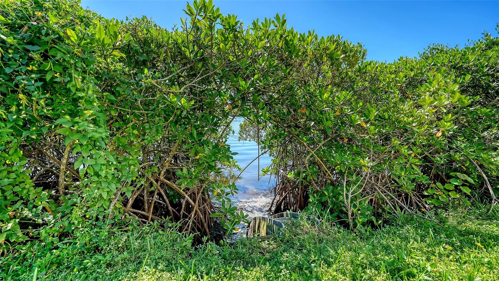 EAGLES POINT AT THE LANDINGS - Residential