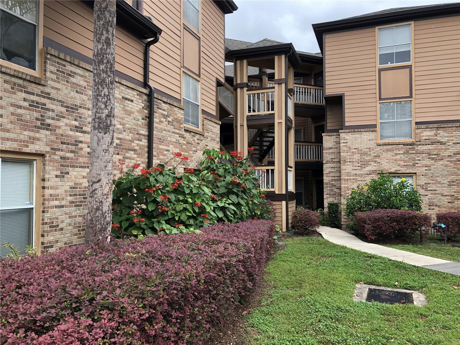 WINDSOR AT SABAL WALK A CONDO - Residential