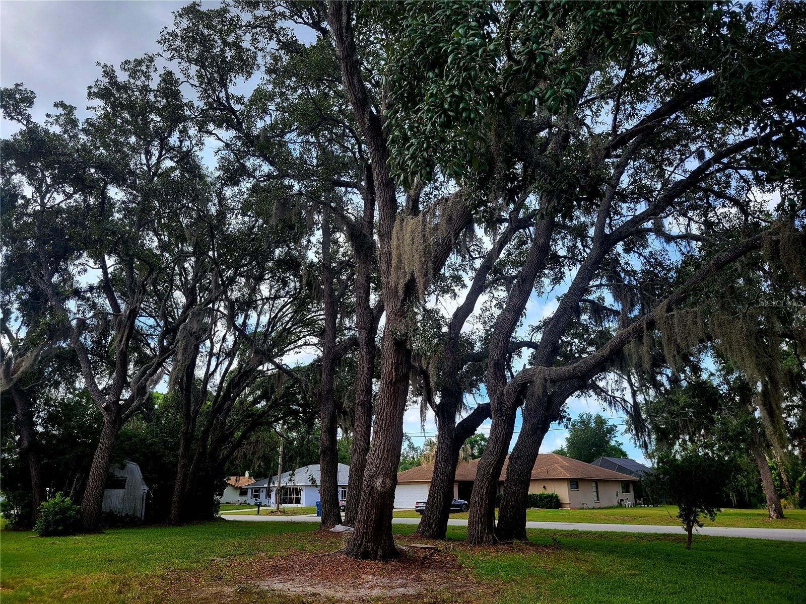 SPRING HILL UNIT 21 - Residential