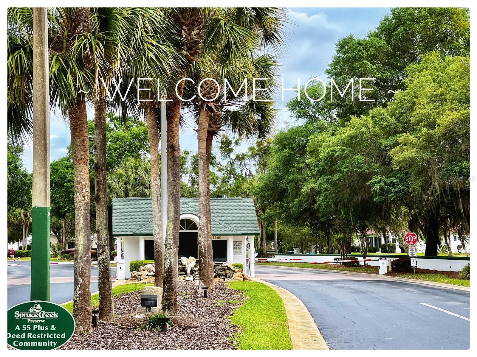 SPRUCE CREEK PRESERVE I - Residential