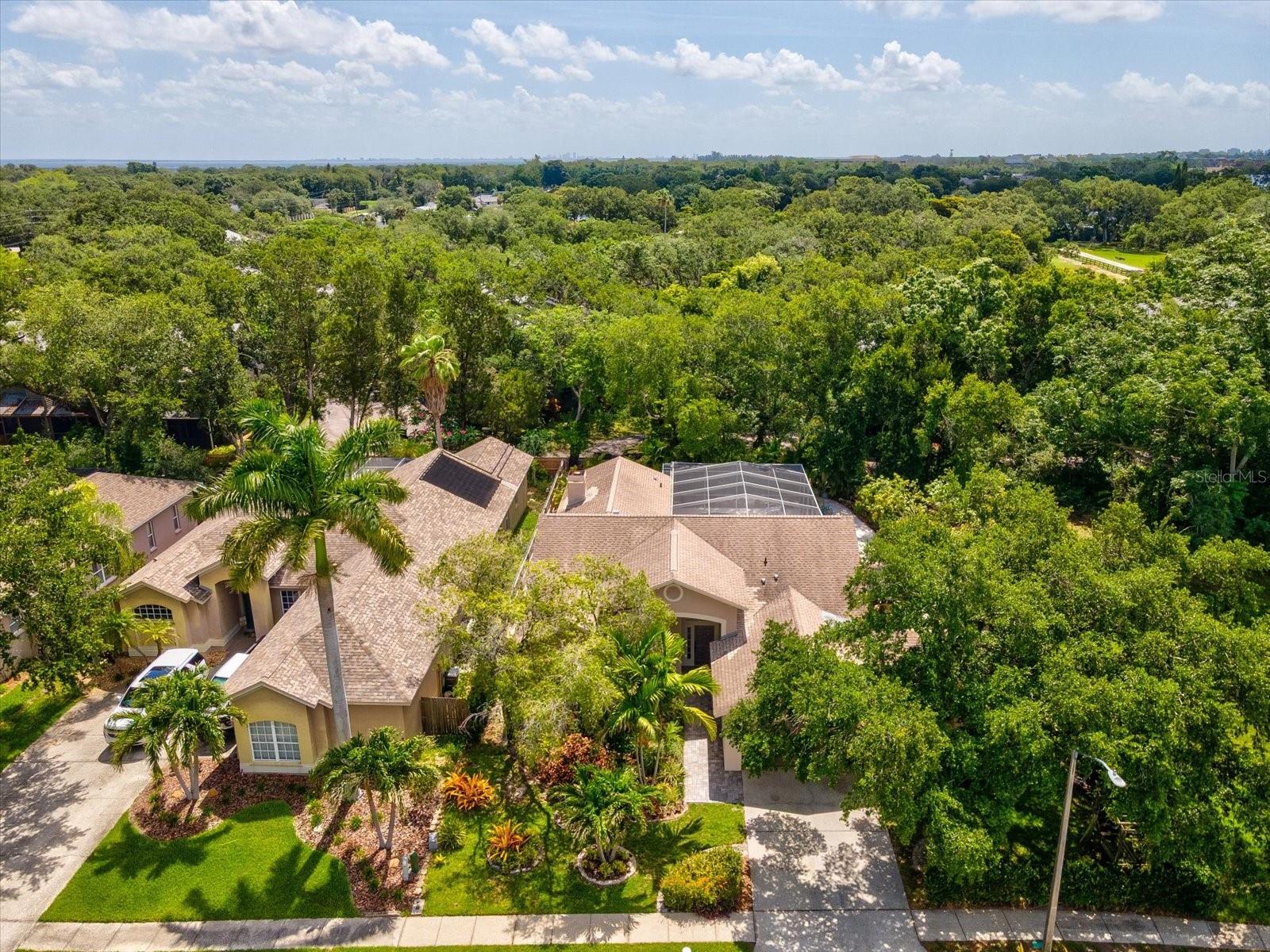 LONG BRANCH CREEK - Residential