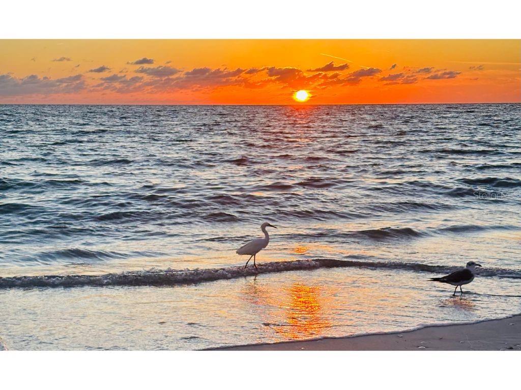 GULF ESTATES - Land