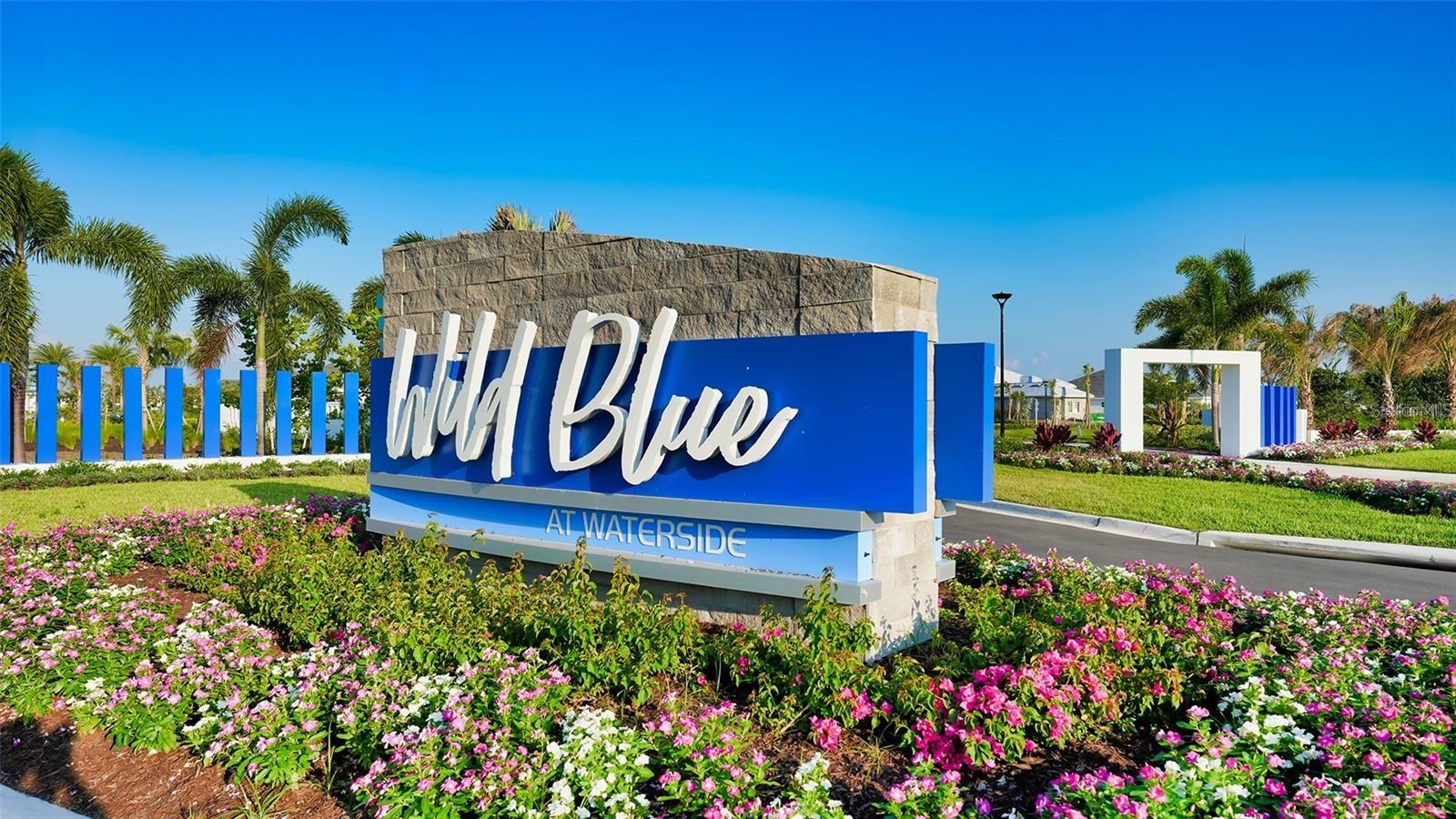WILD BLUE - Residential