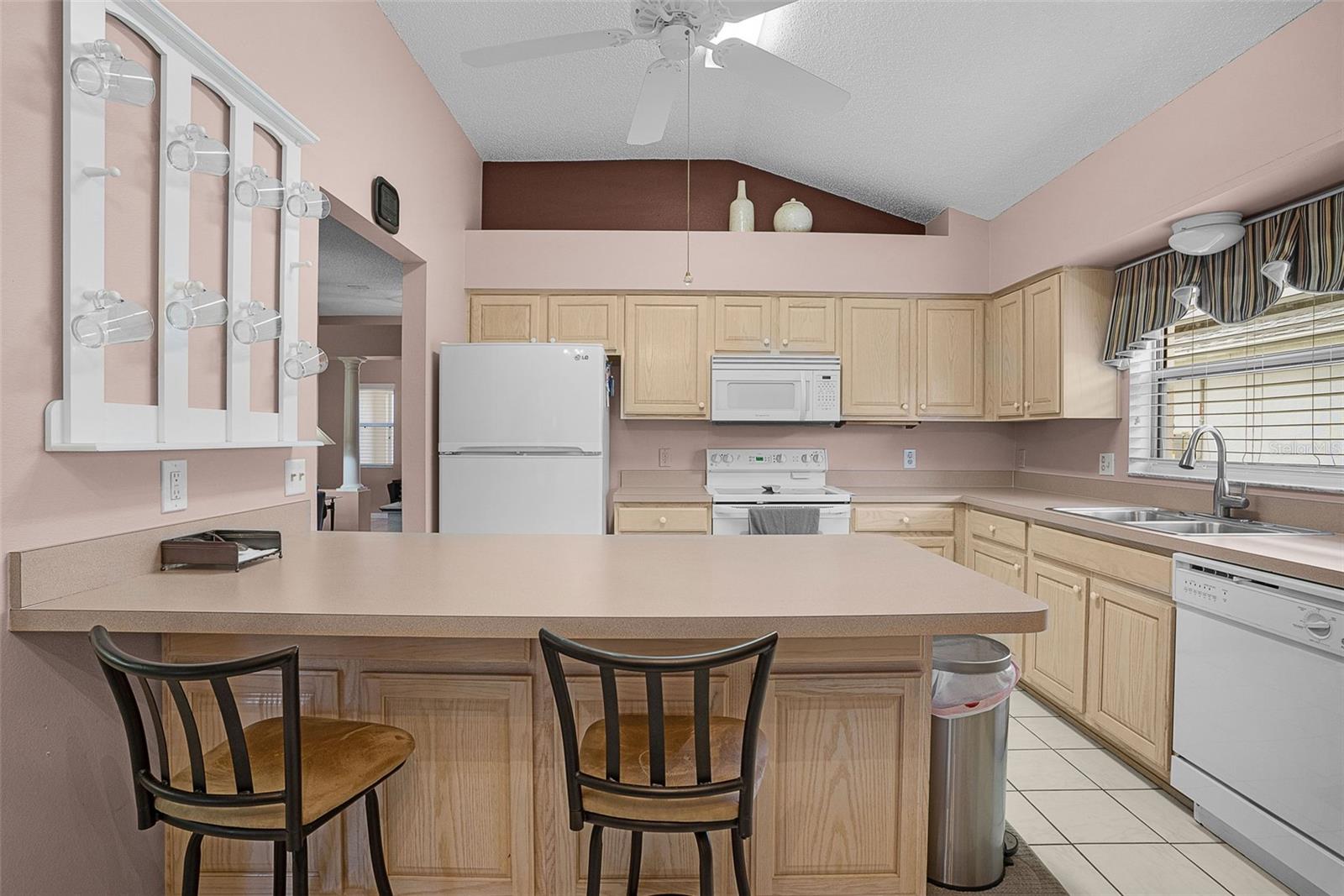 VILLAGES OF SUMTER - Residential