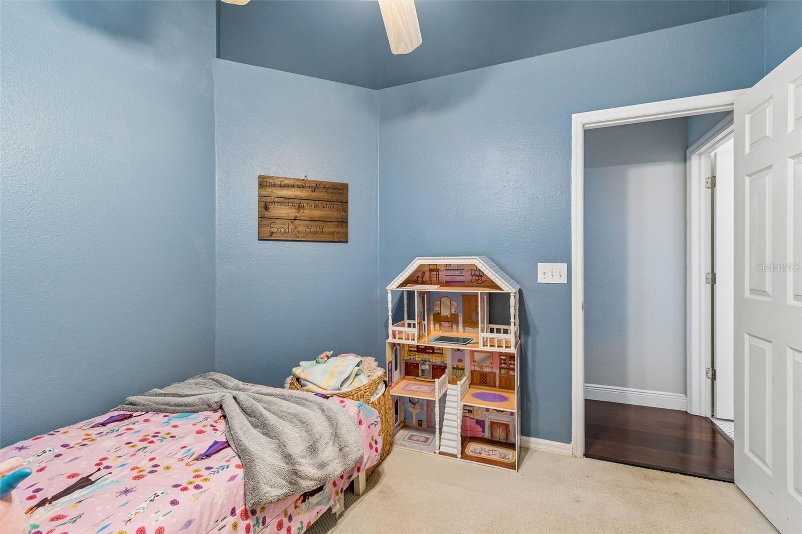 VILLAGES AT WESLEY CHAPEL - Residential