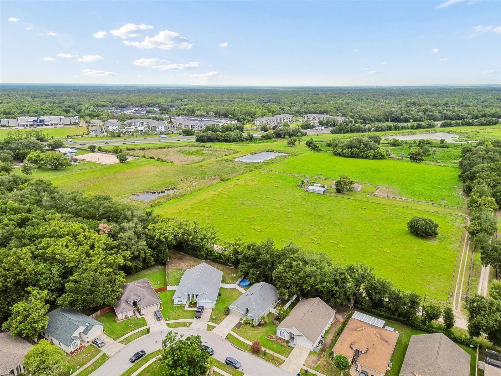 VILLAGES AT WESLEY CHAPEL - Residential