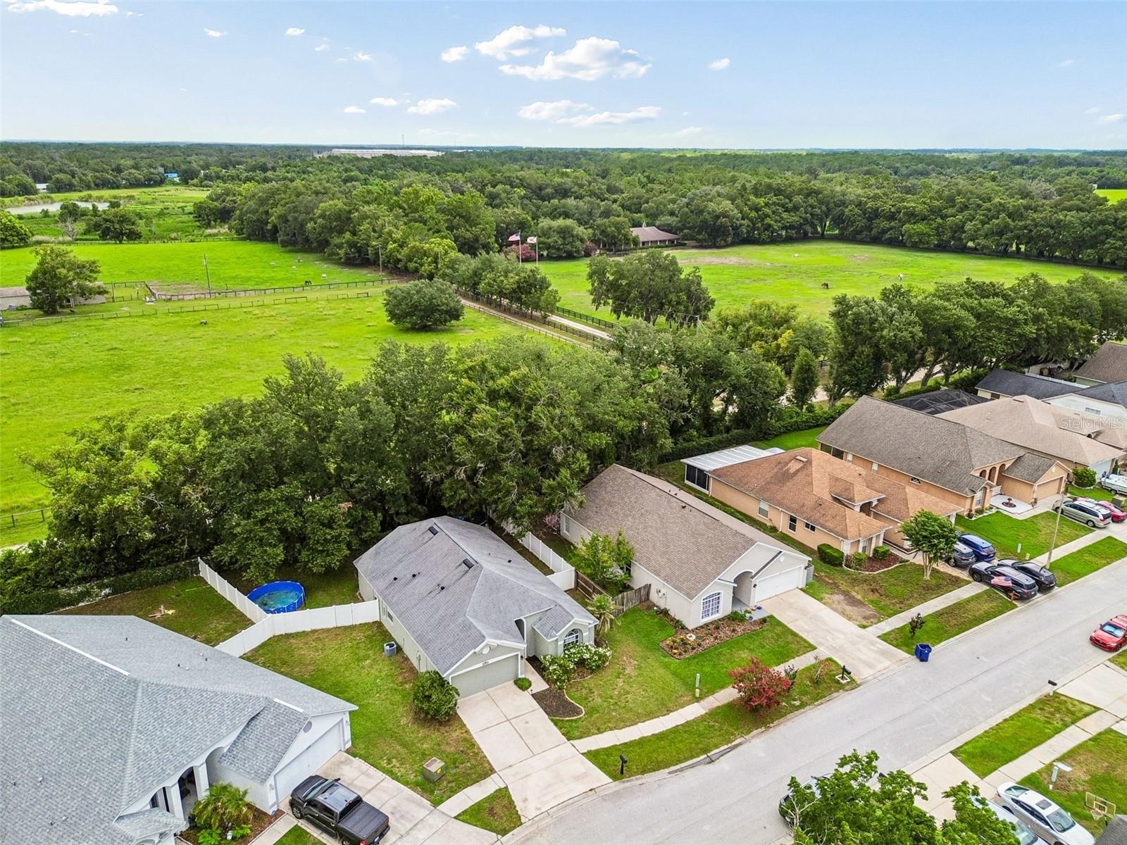 VILLAGES AT WESLEY CHAPEL - Residential