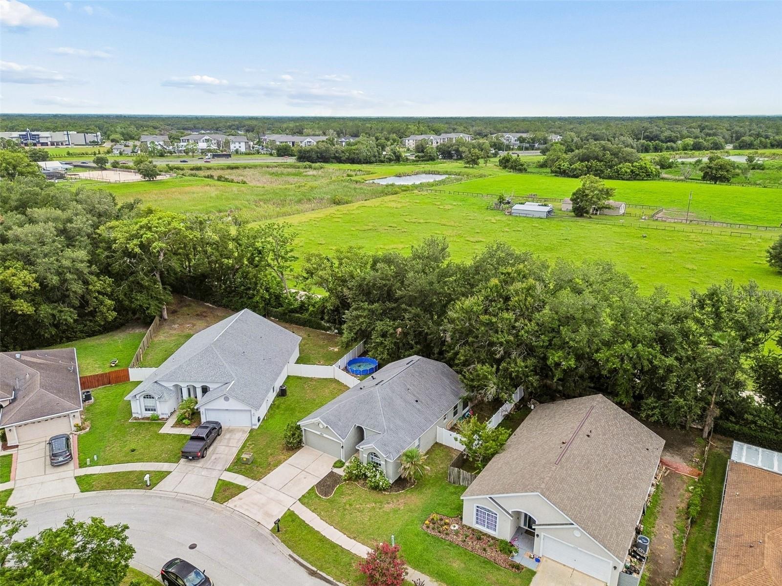 VILLAGES AT WESLEY CHAPEL - Residential