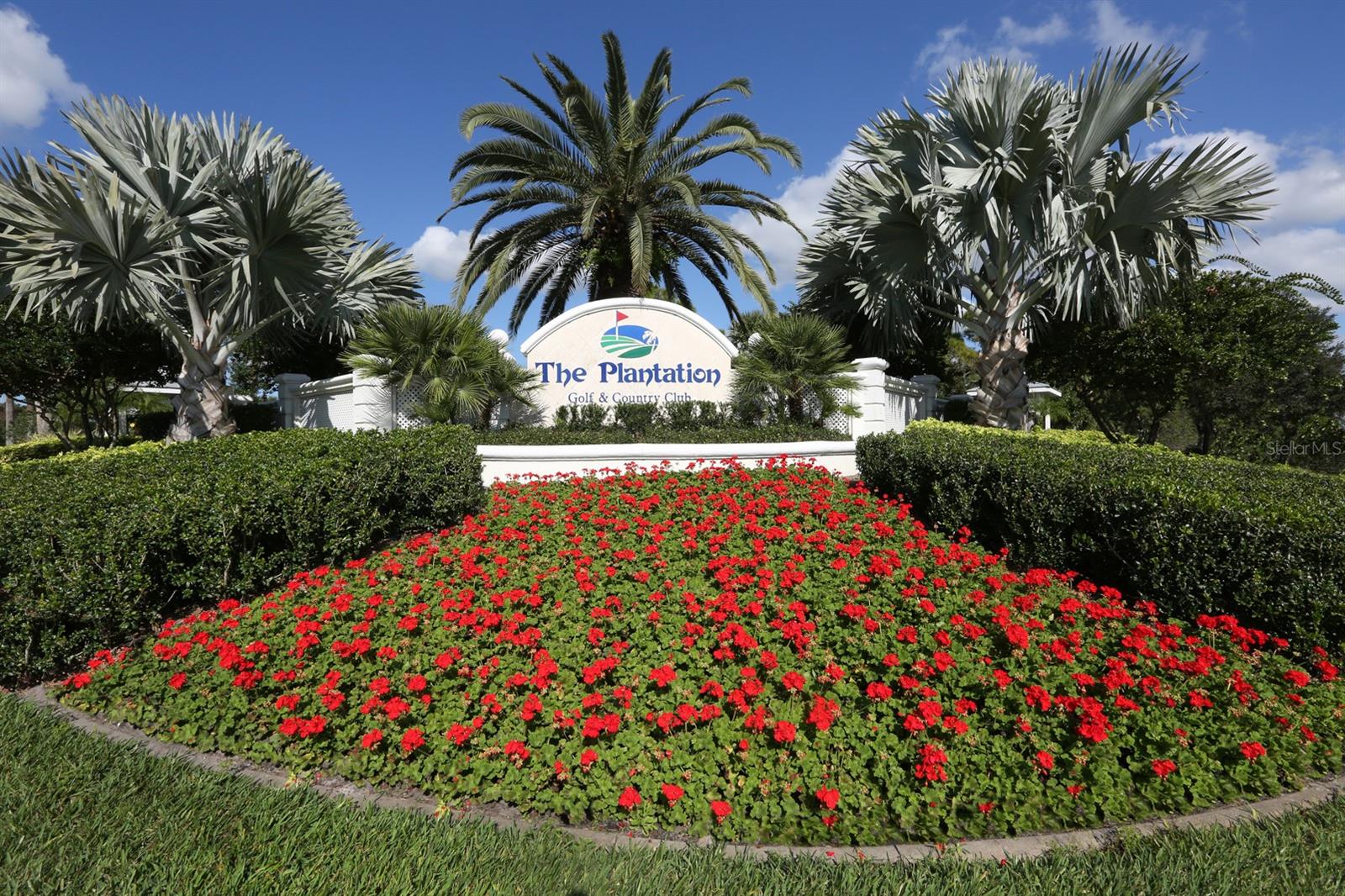 TERRACE HOMES OF ST. ANDREWS PARK @ THE PLANTATION - Residential
