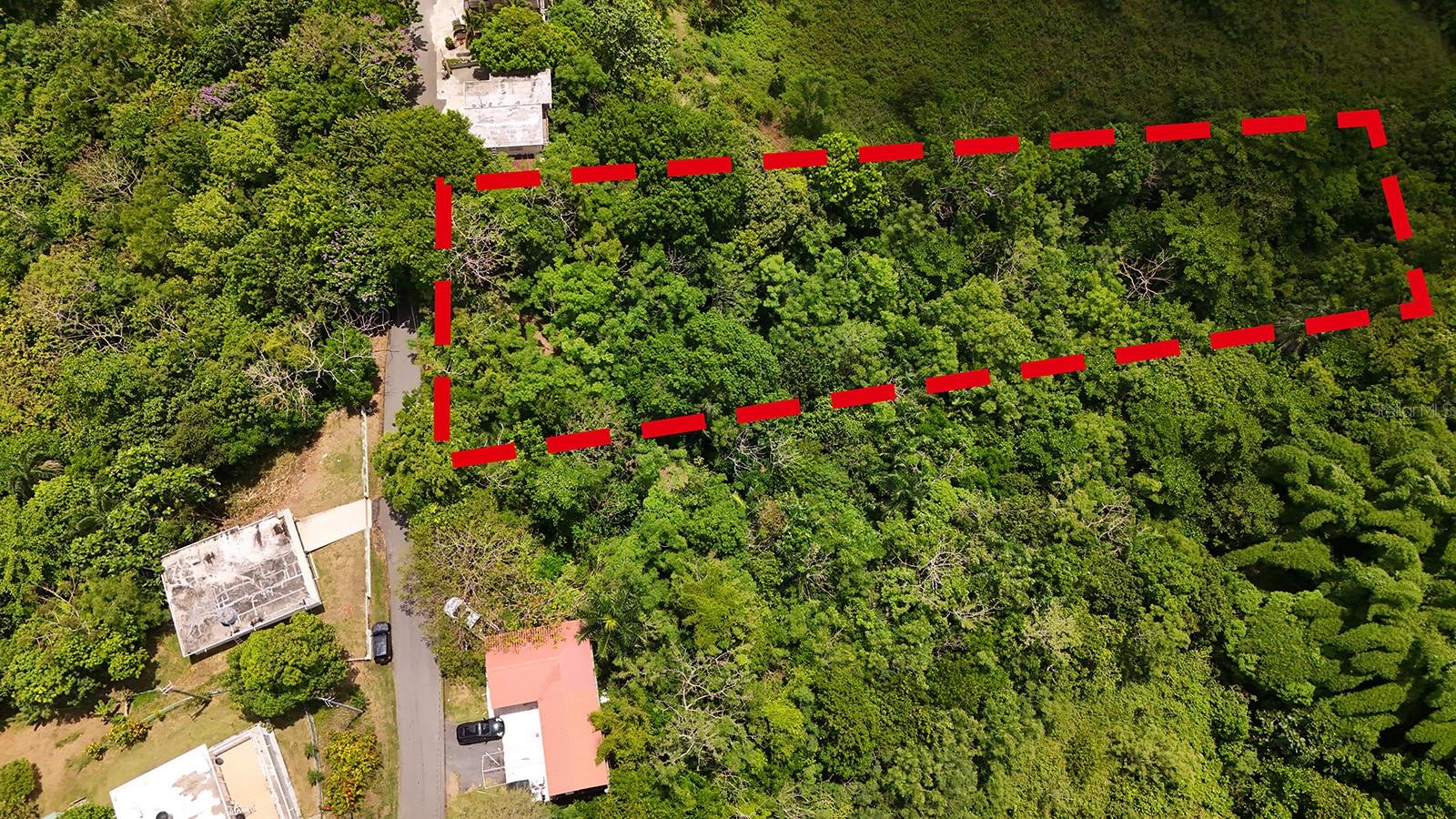 This secret spot is tucked in the Aguada hills only minutes from the Rincon border.  The lot measures just under 1.5 acres (5,567sm) & is ready for your ideas & vision.  Located off Carr 4414 which is less than 15 minutes to town, beaches, shopping & restaurants.  Imagine building a tropical hideaway, personal retreat or your very own dream house amongst this lush green jungle scenery.  The property is sloped into the valley with an access path/road already carved out.  Water & electricity connections are available at the road.  Priced to sell! 18.35113900, -67.20752700