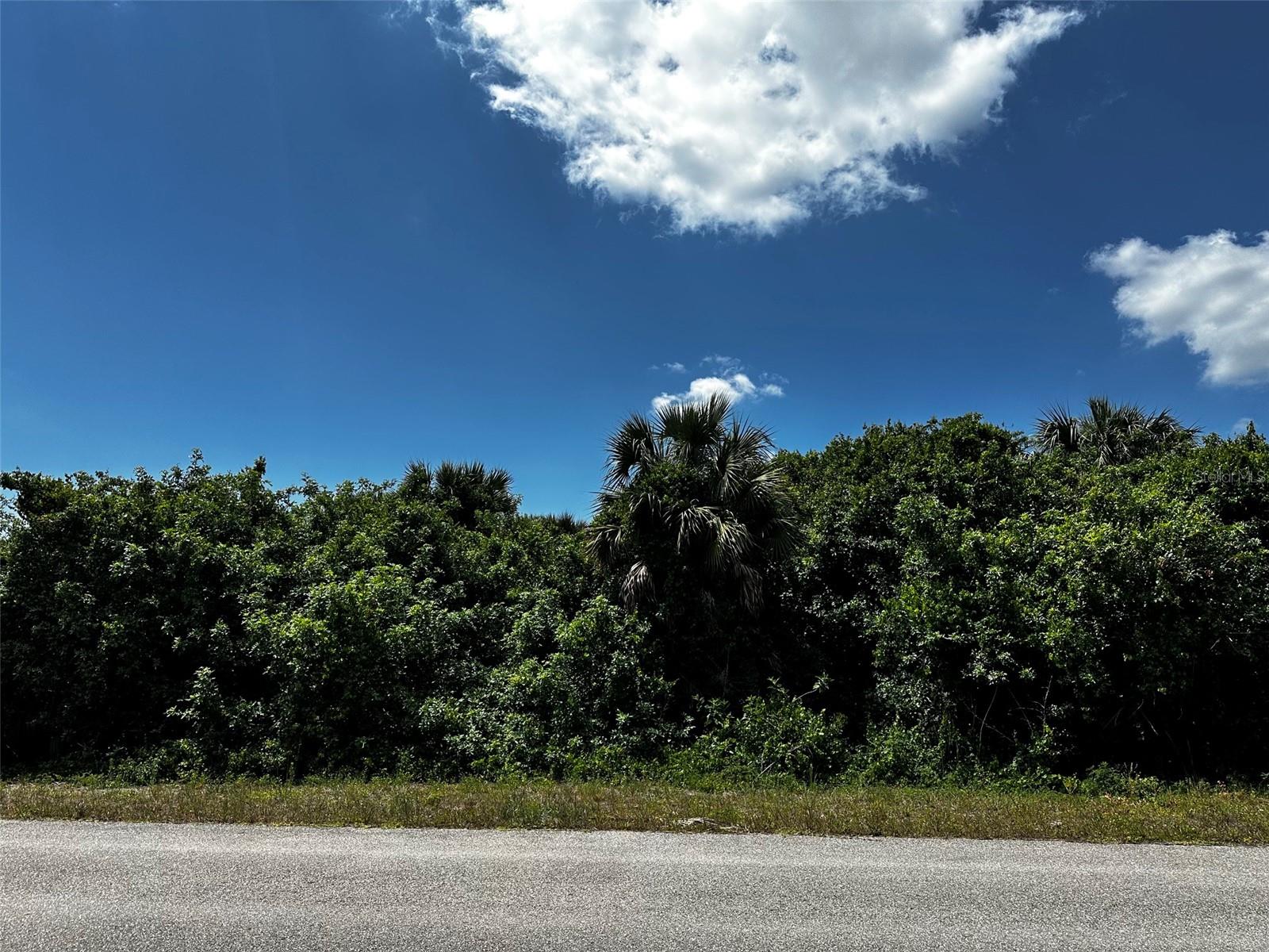 LEHIGH ACRES - Land
