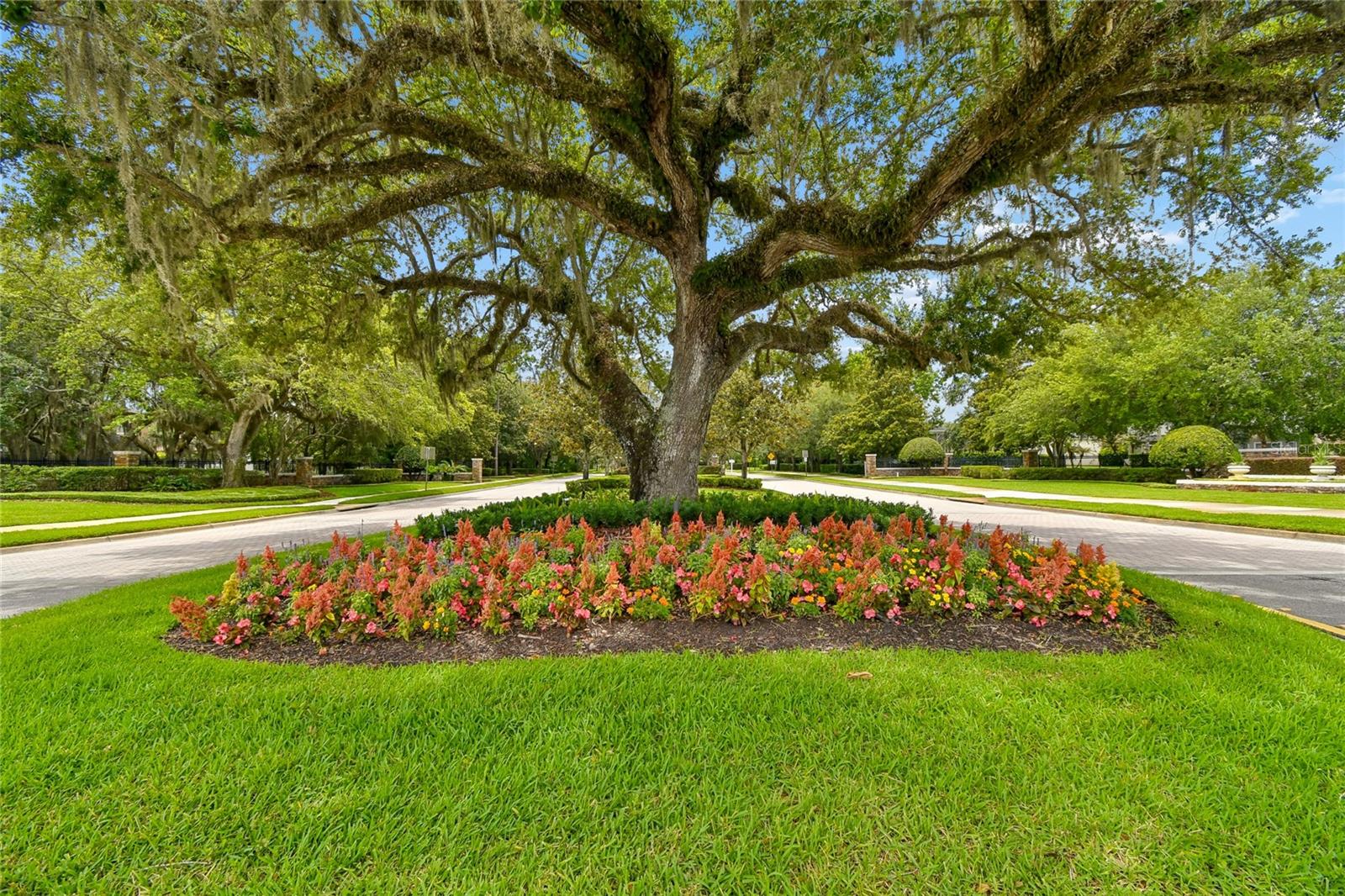 LIVE OAK RESERVE UNIT THREE - Residential