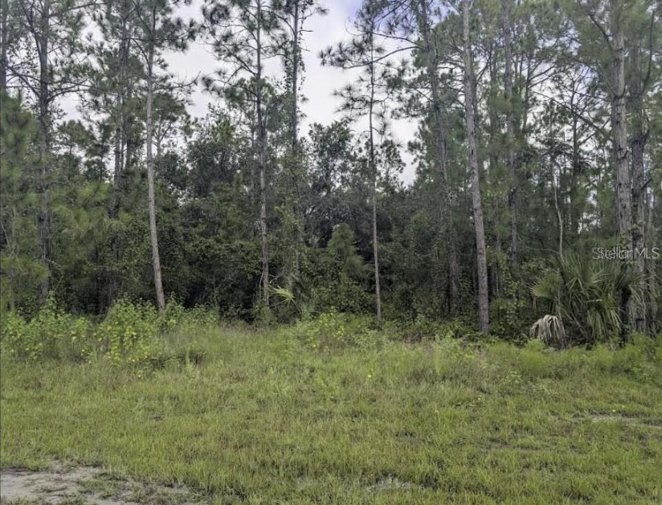 INDIAN LAKE ESTATES - Land
