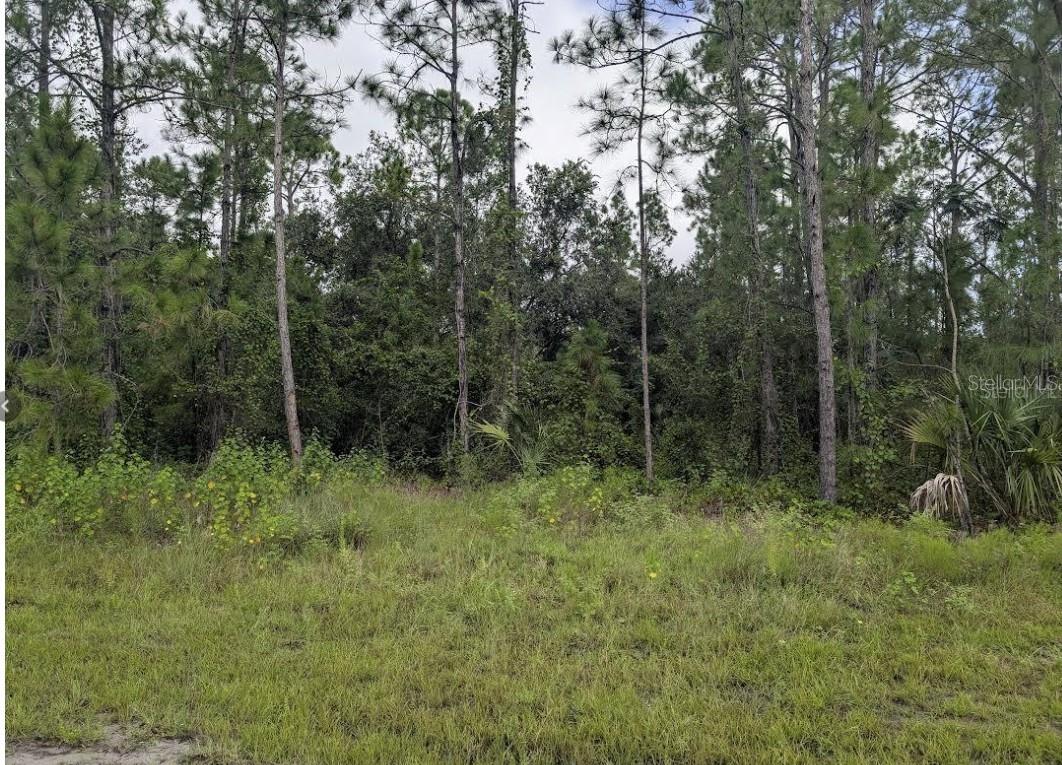 INDIAN LAKE ESTATES - Land